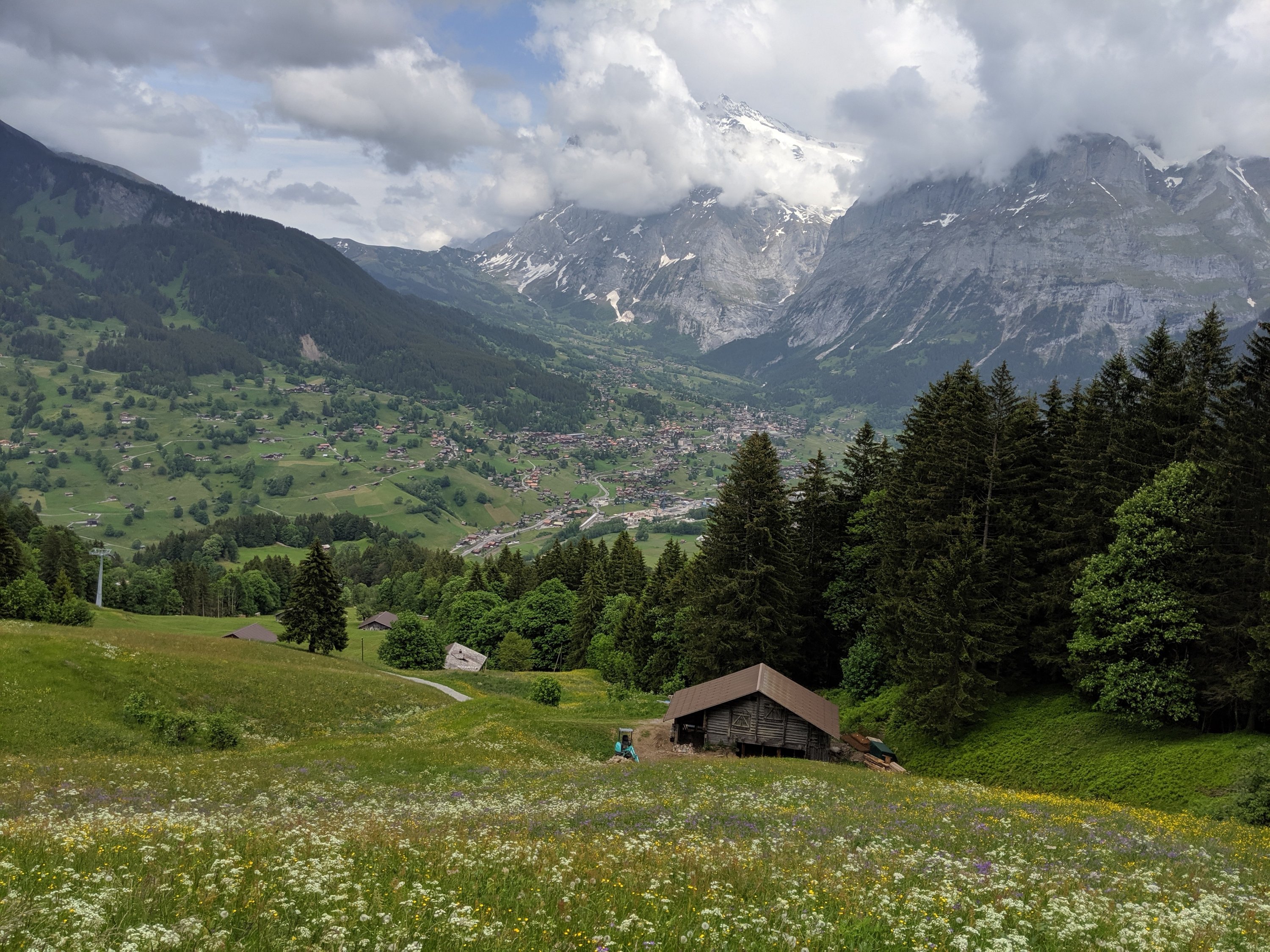 Saturday, June 15: Day 54 – Food for Thought