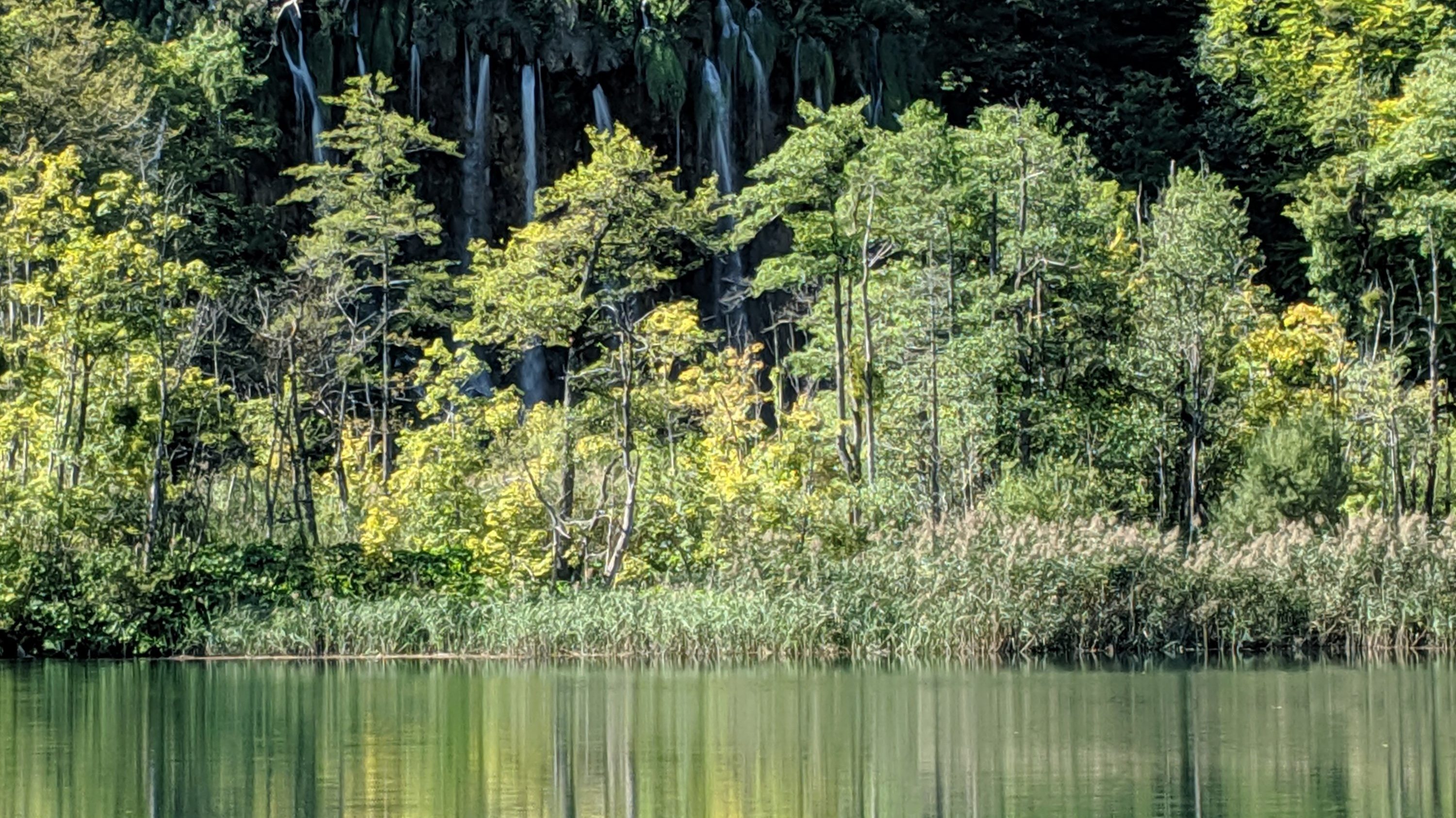 Monday, September 16: Day 147 – Shades of Green