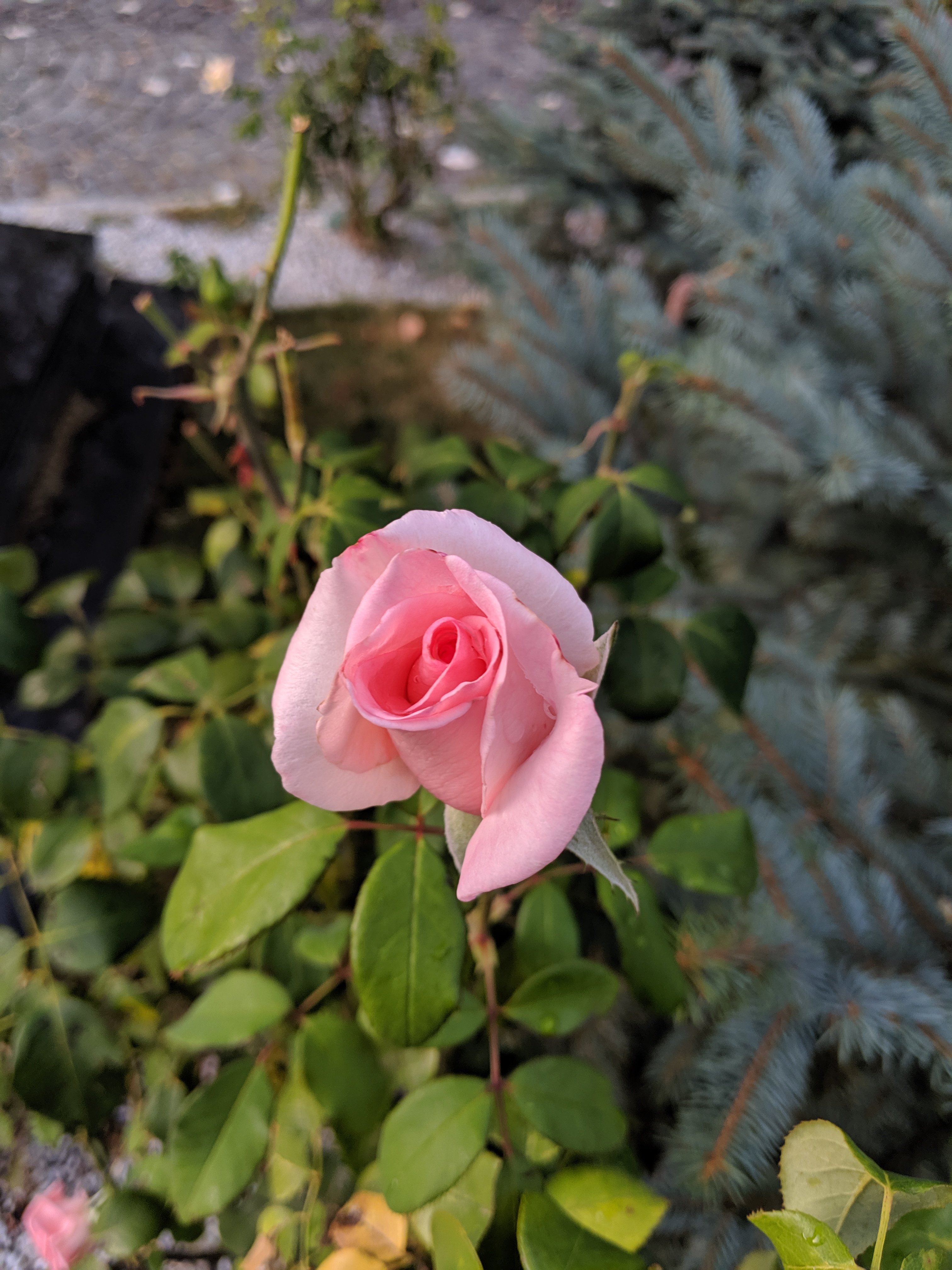 Sunday, September 29: Day 160 – Pray!