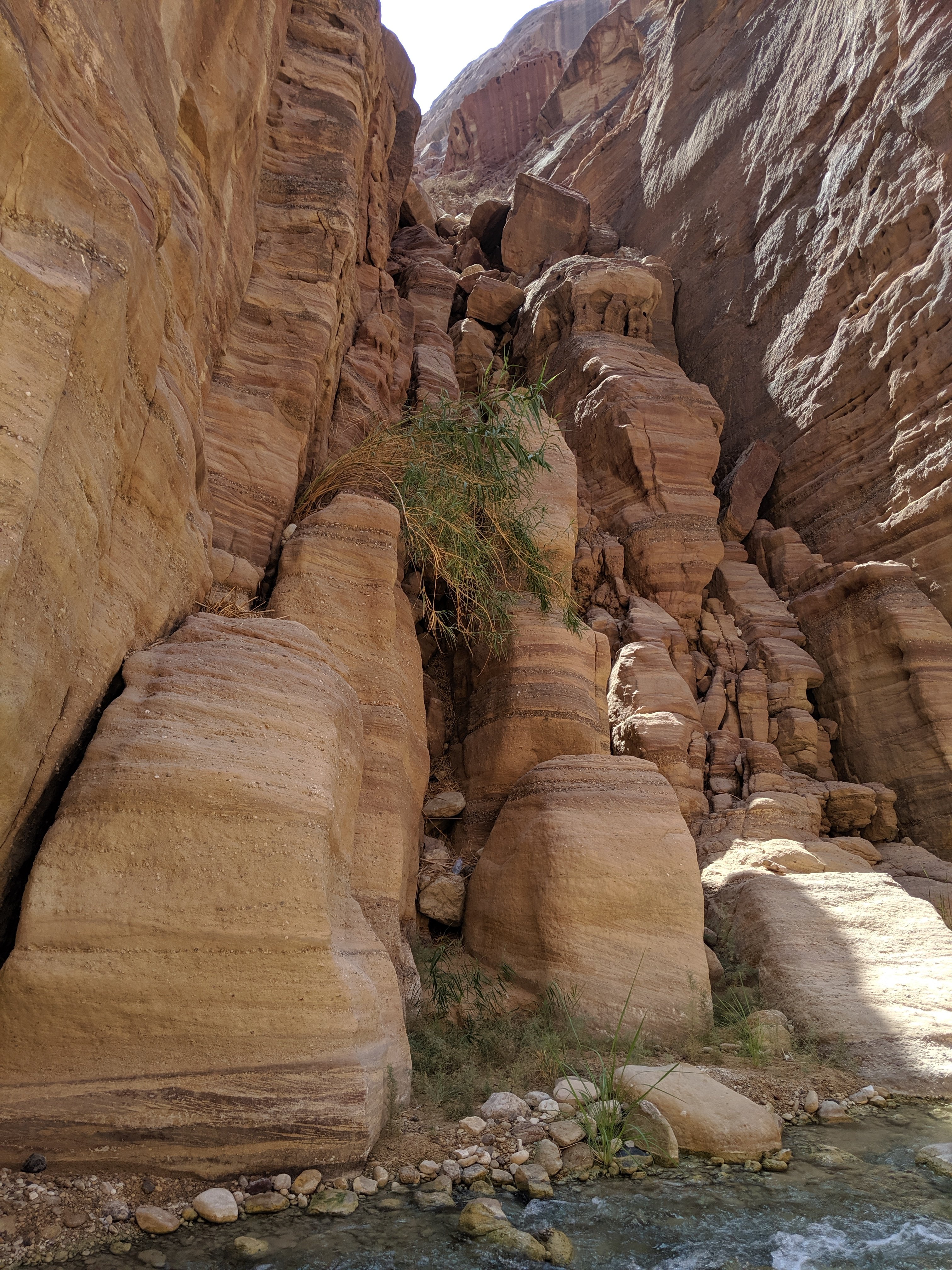 Wednesday, October 9: Day 170 – How Low Can You Go