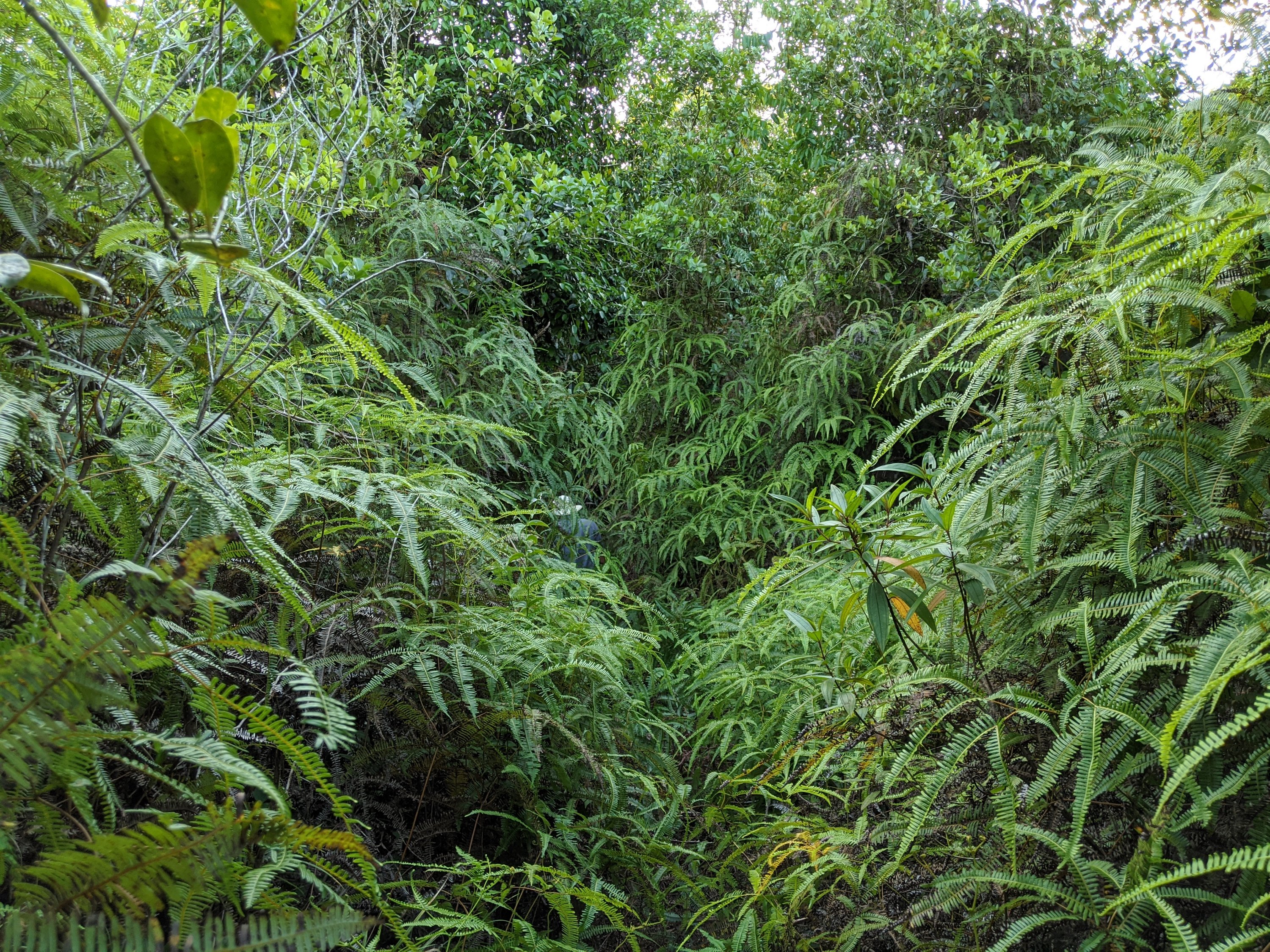 Monday, November 25: Day 217 – HELP!!!