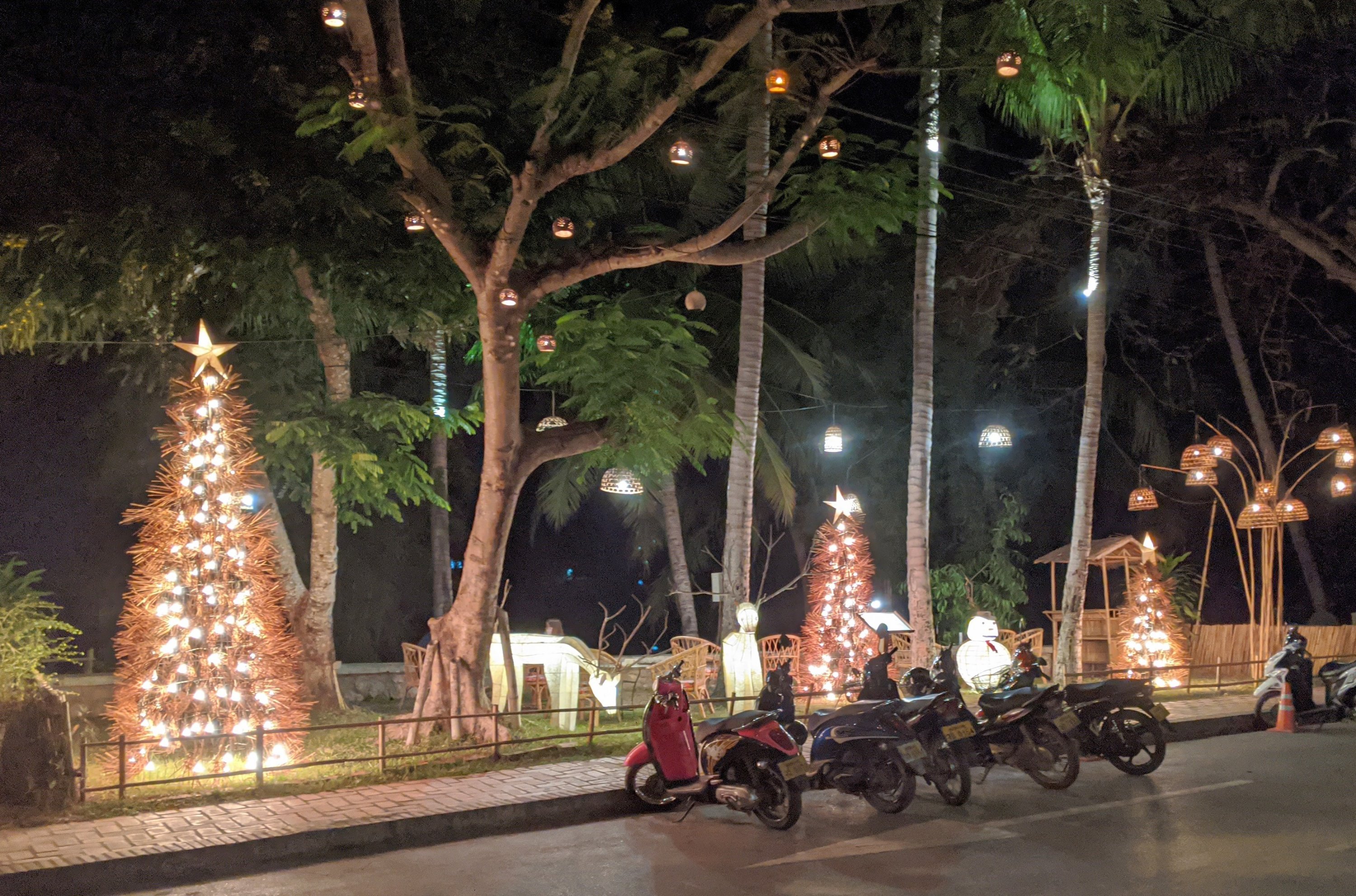 Sunday, December 22: Day 244  – The Tale of Two Christmases