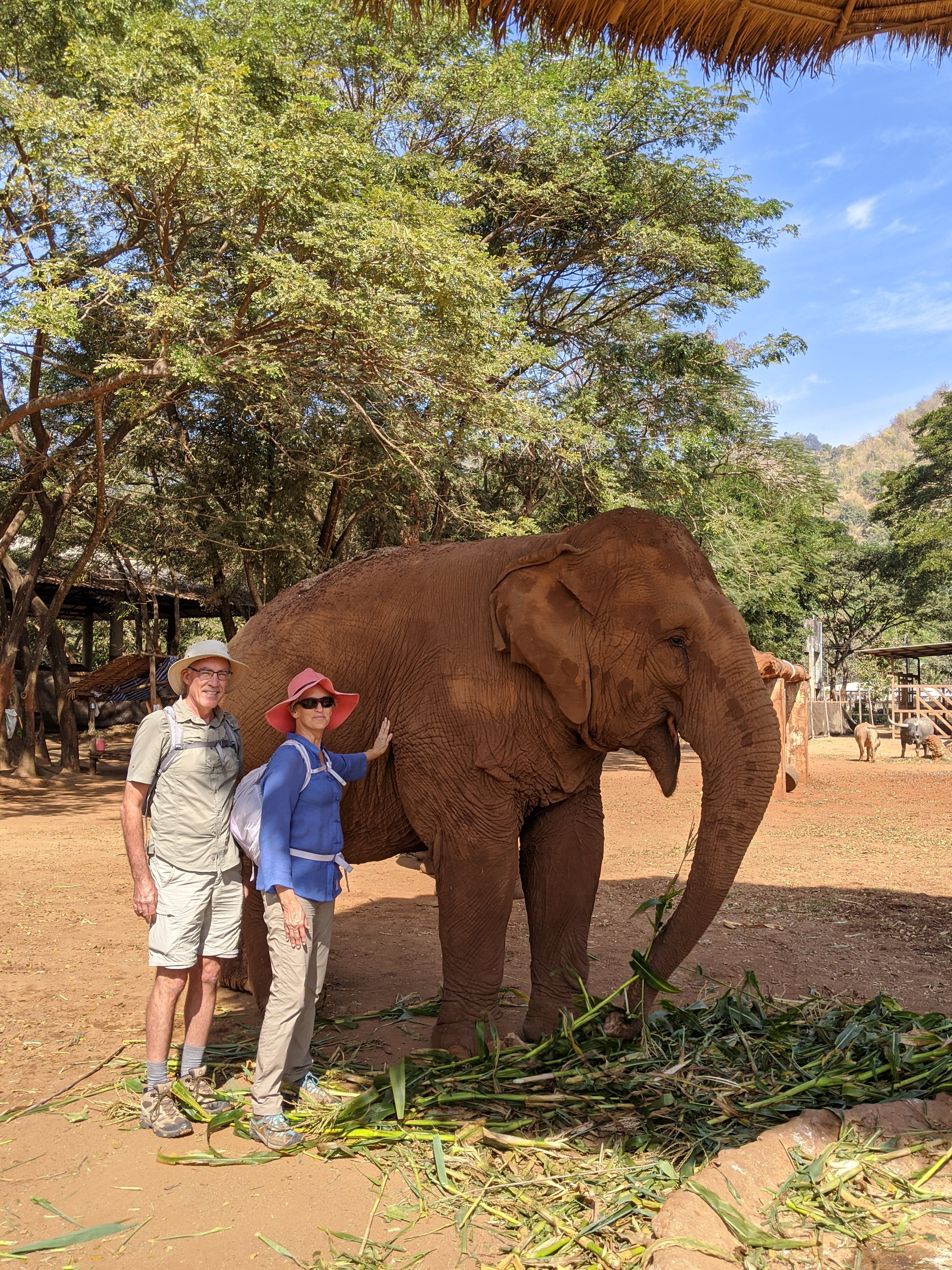 Monday, January 20: Day 273 – Elephant Nature Park