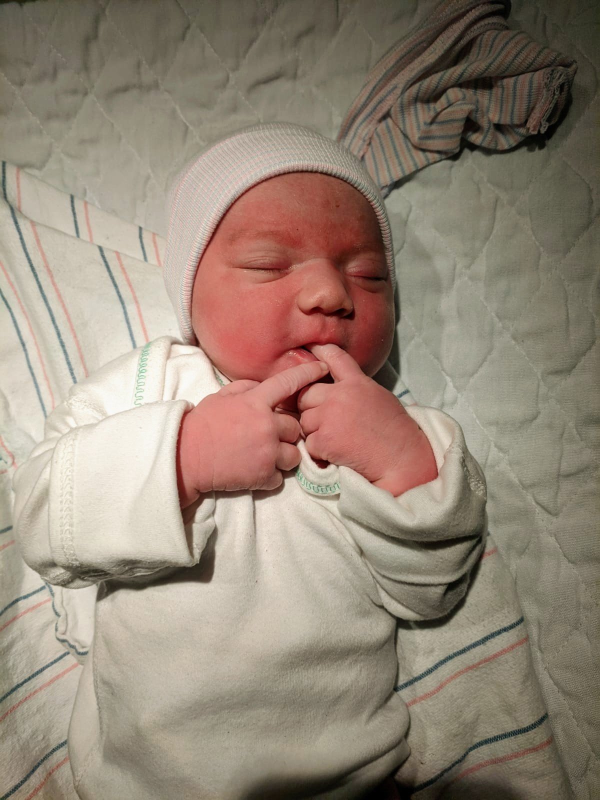 Thursday, January 30 – Day 283  – Happy Birth Day