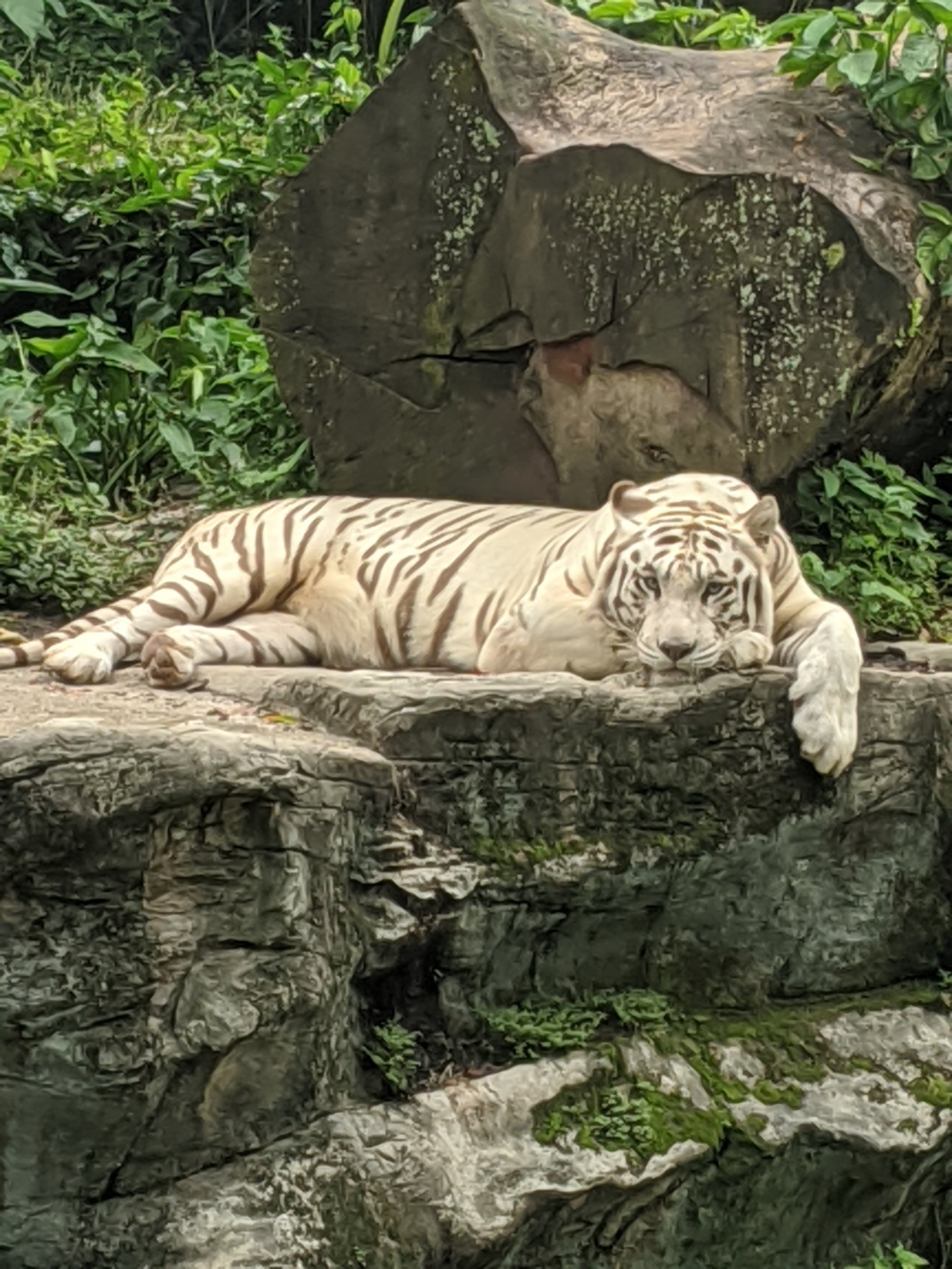 Thursday, February 13: Day 297 – Zoo on the Equator