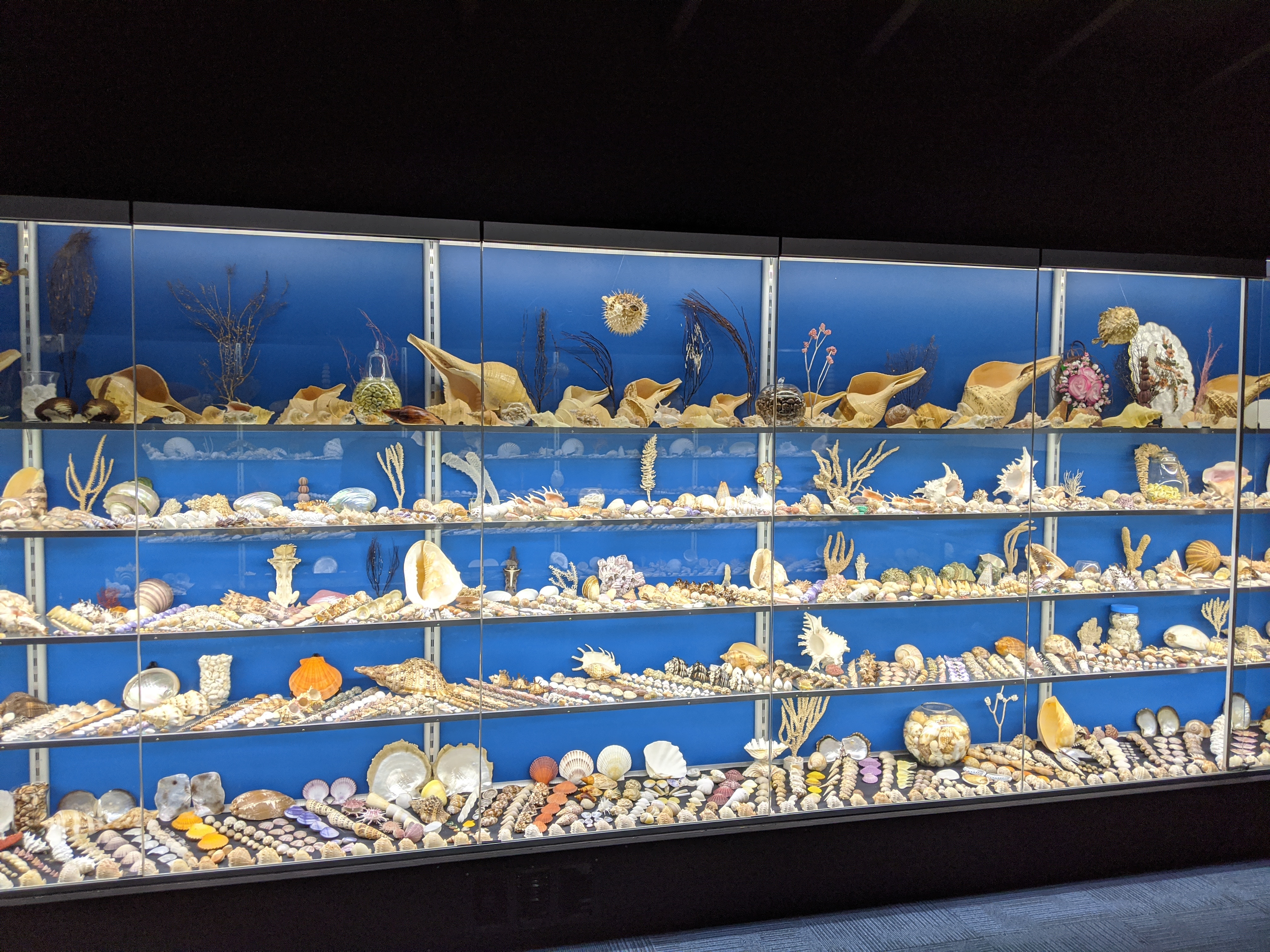 Monday, February 17: Day 301 – On to a New Continent