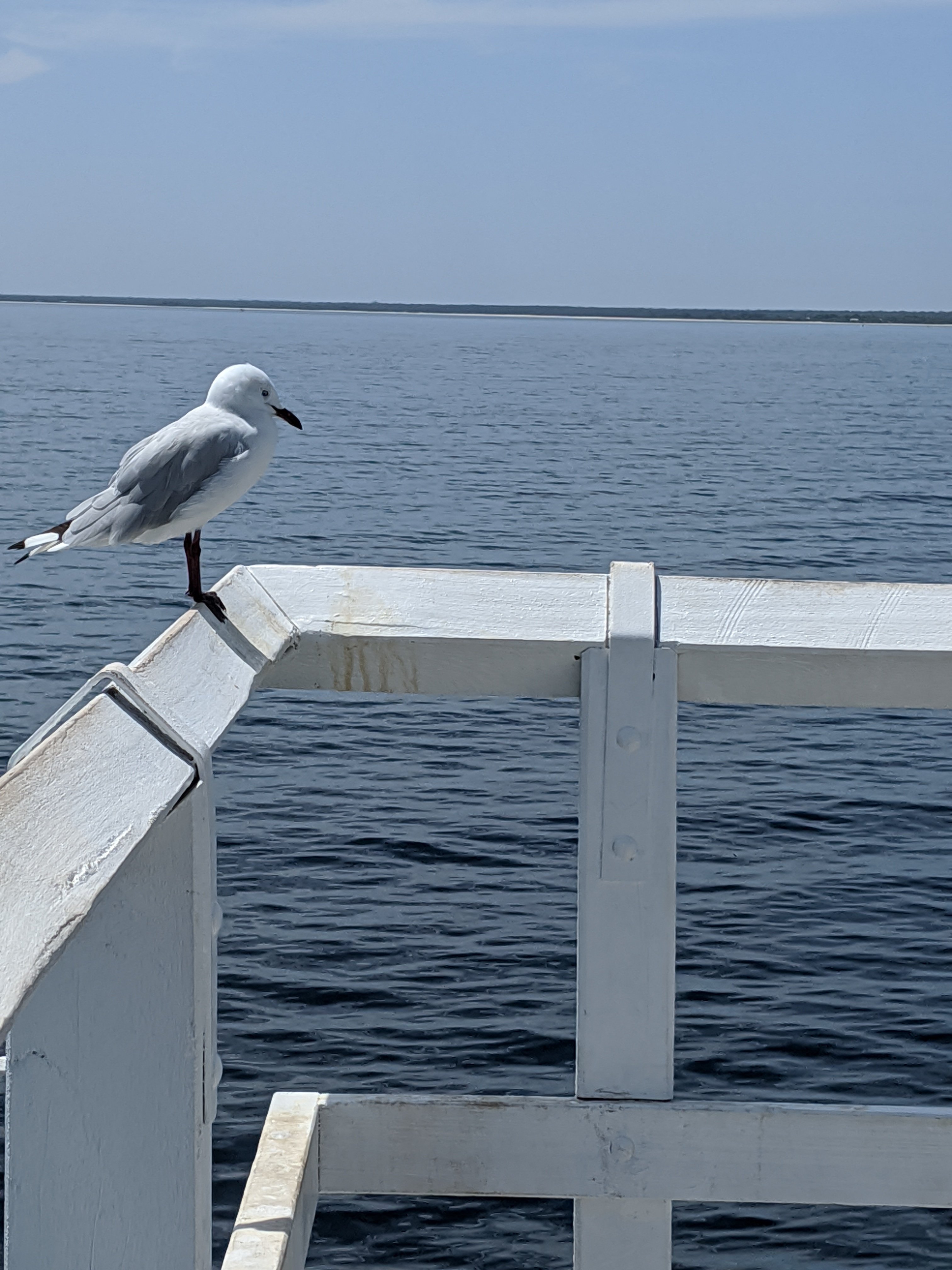 Wednesday, February 19: Day 303 – Jetty