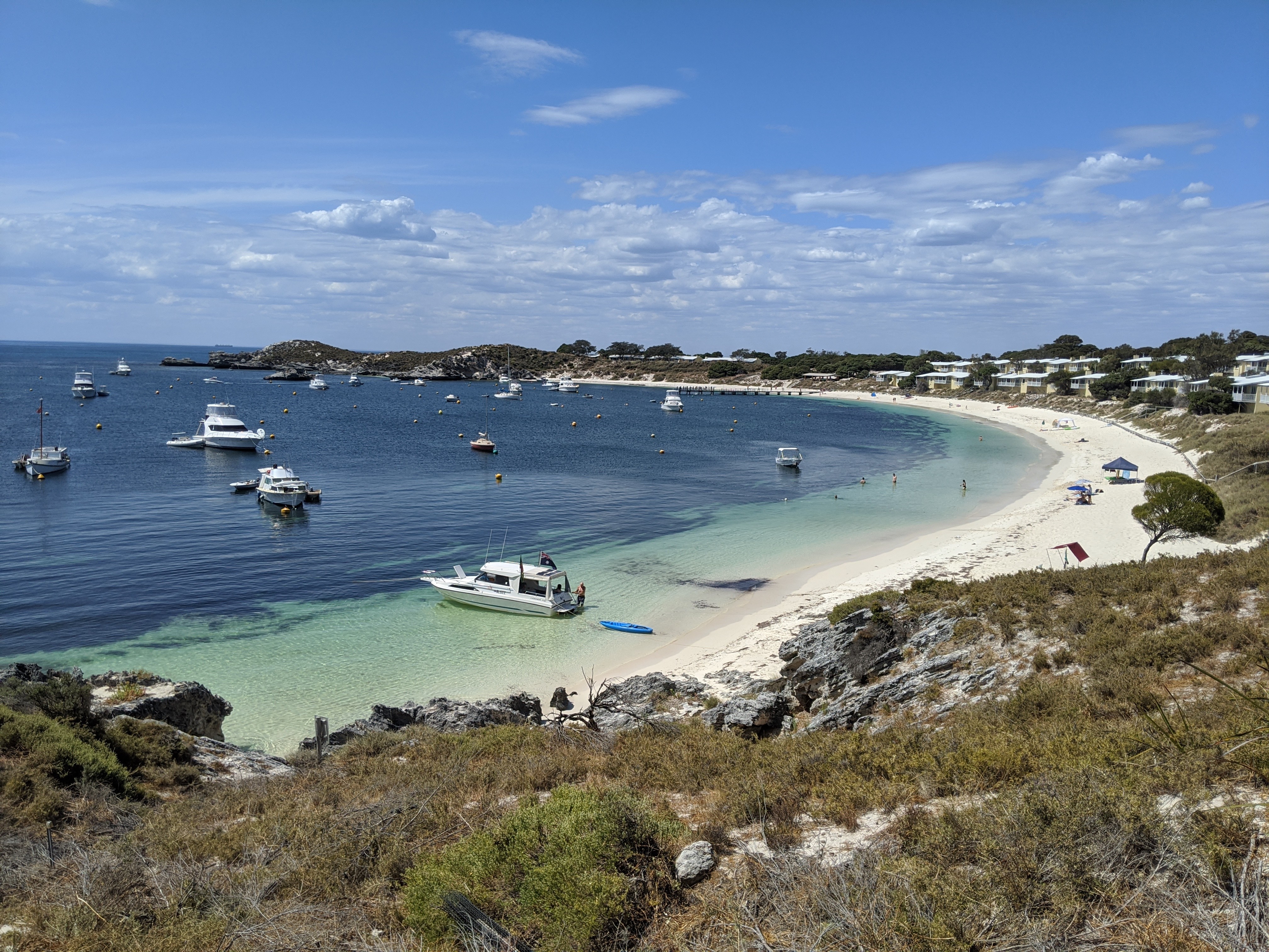 Thursday, February 20: Day 304 – Quokka