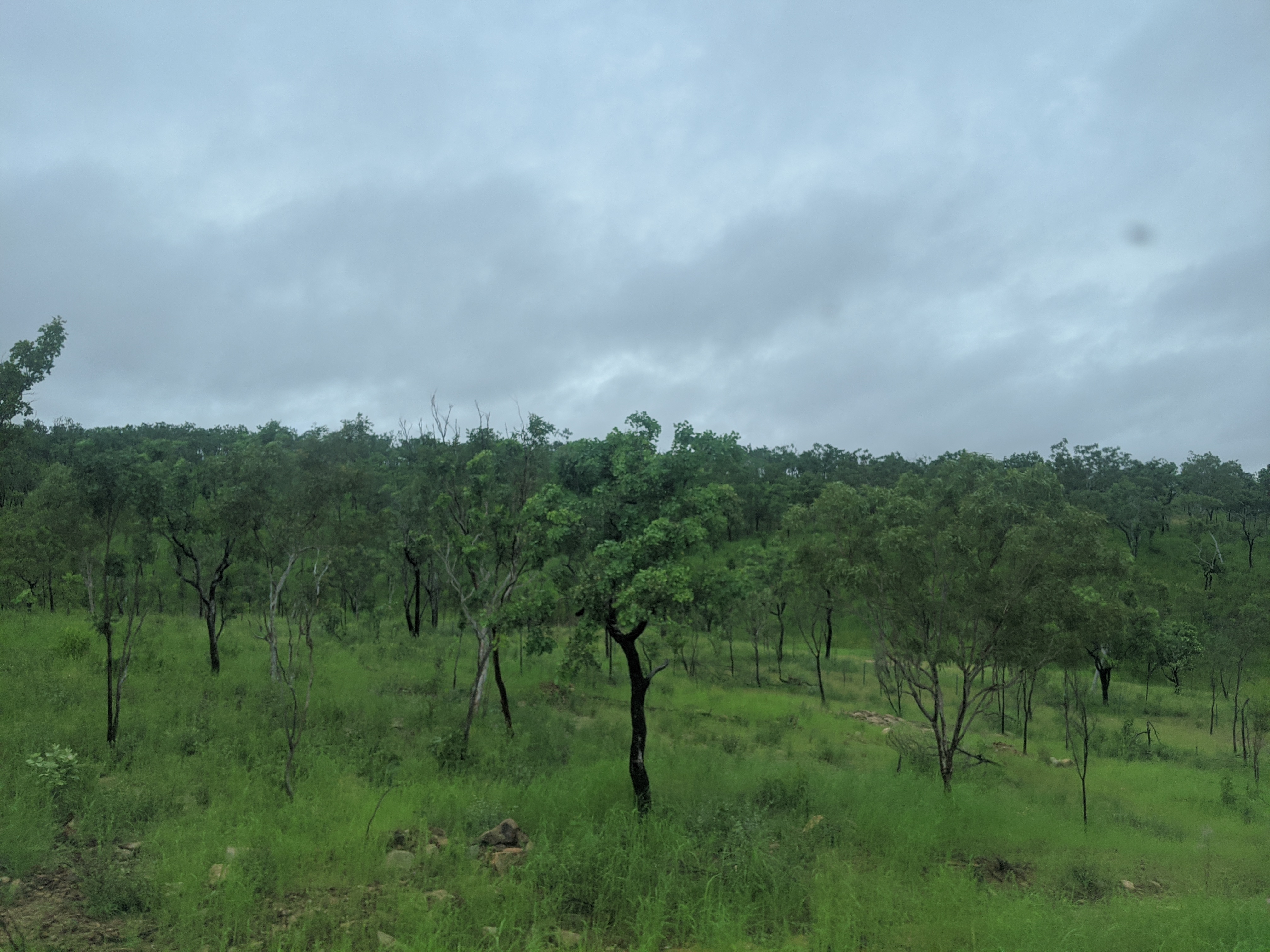 Thursday, February 27: Day 311 – The Ghan