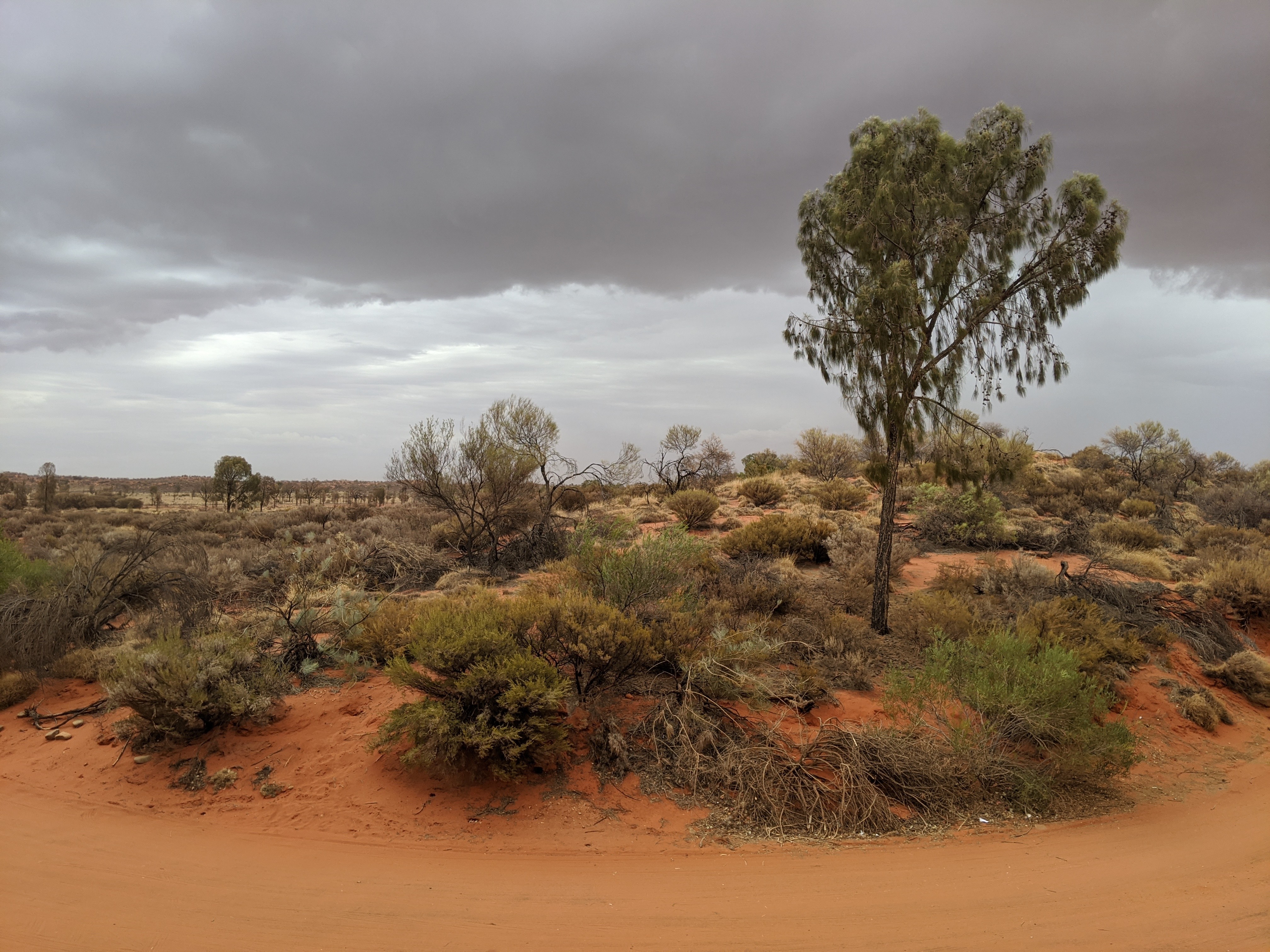 Sunday, March 1: Day 314 – Uluru