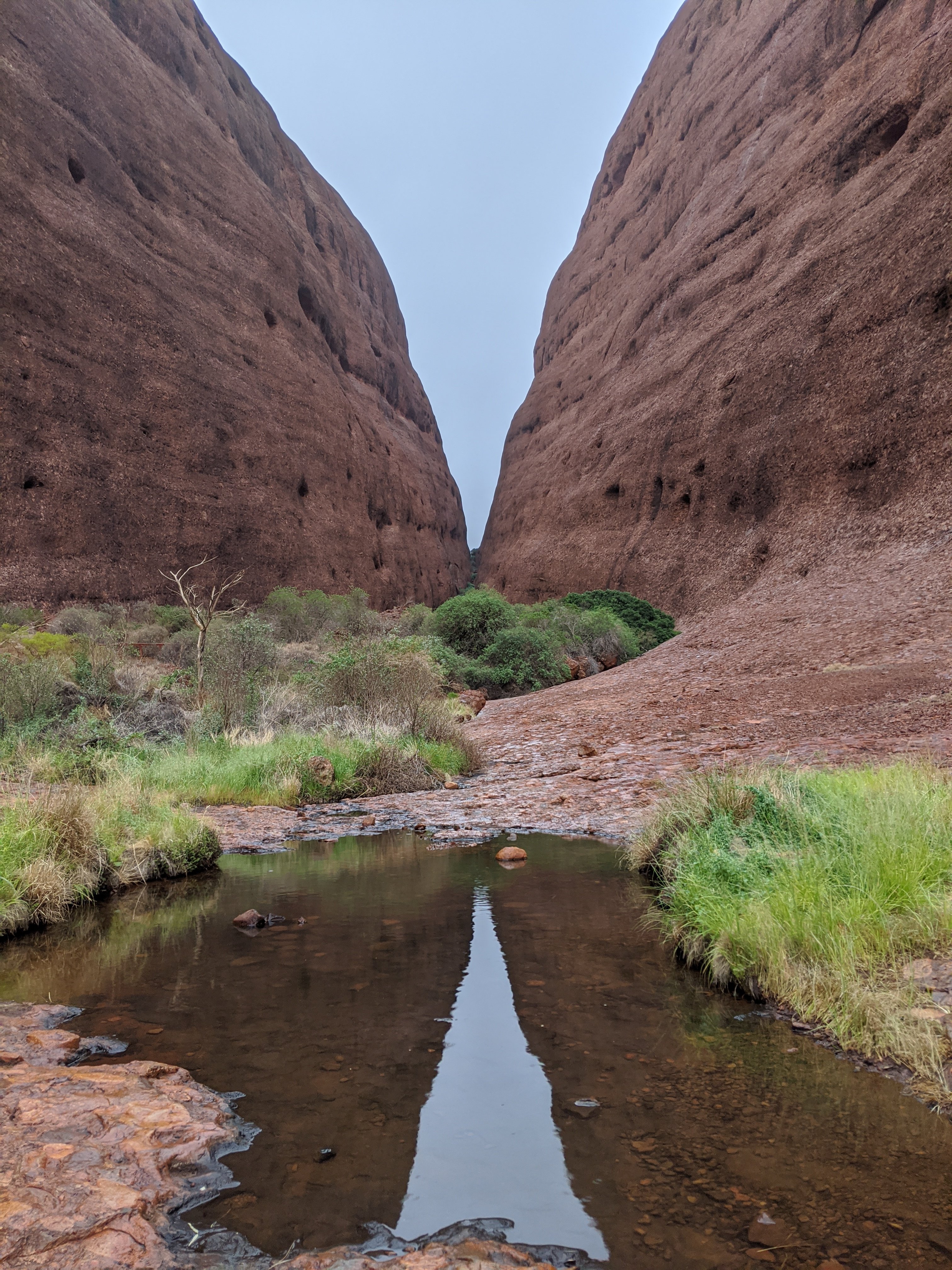 Tuesday, March 3: Day 316 – Kata Tjuta