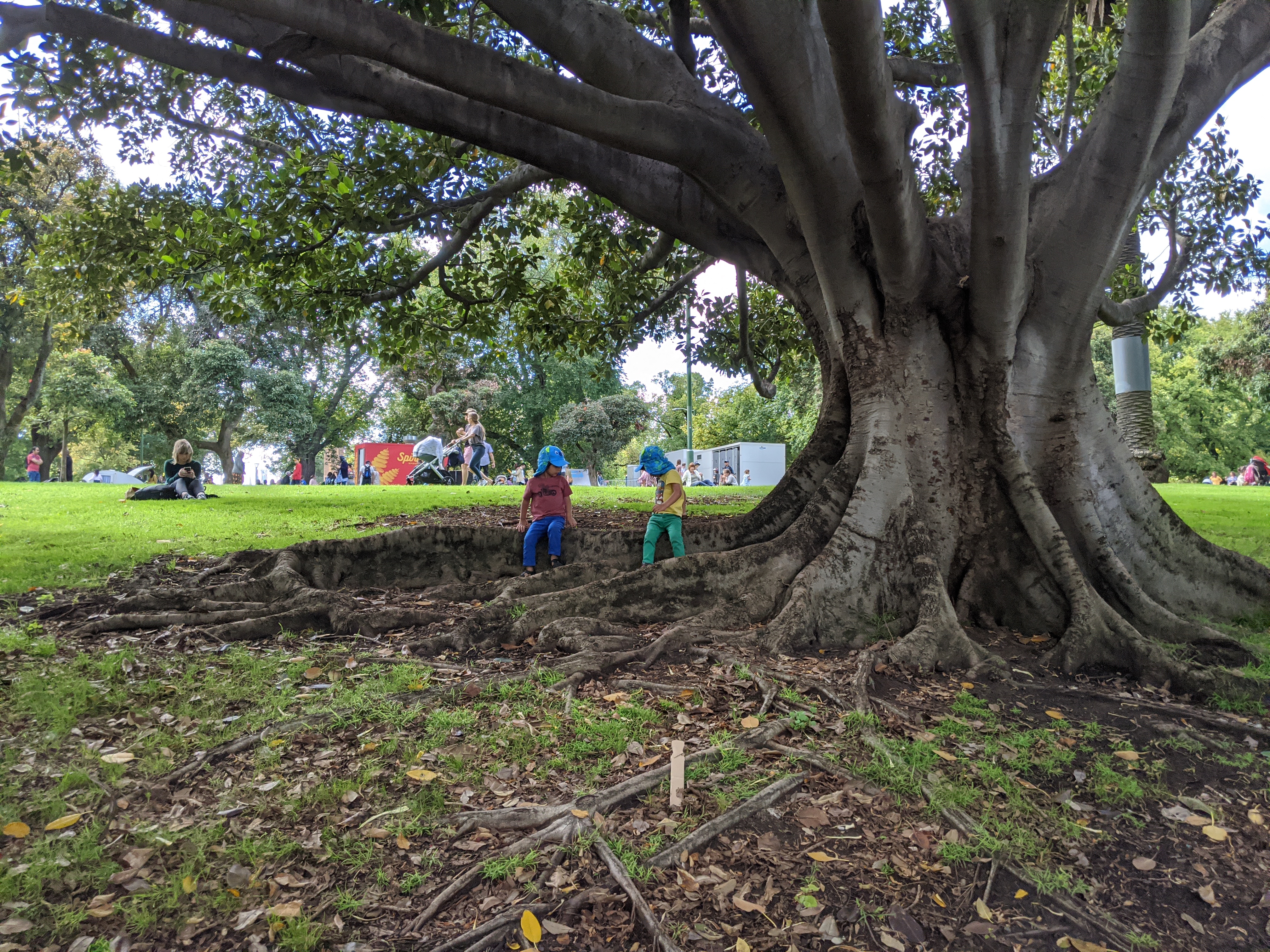 Monday, March 9: Day 322 – Celebrations