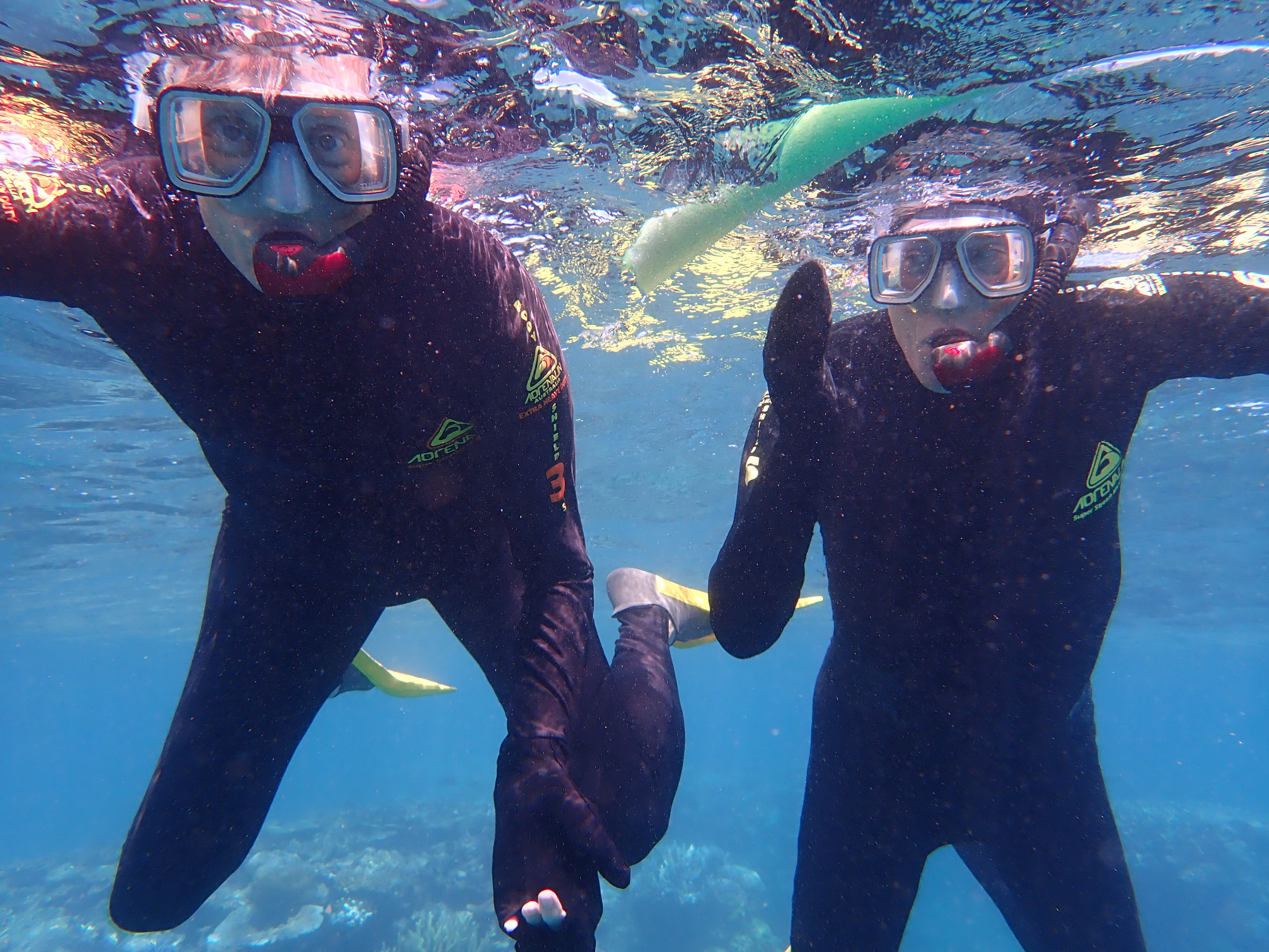 Monday, March 16: Day 329 – Good Barrier Reef