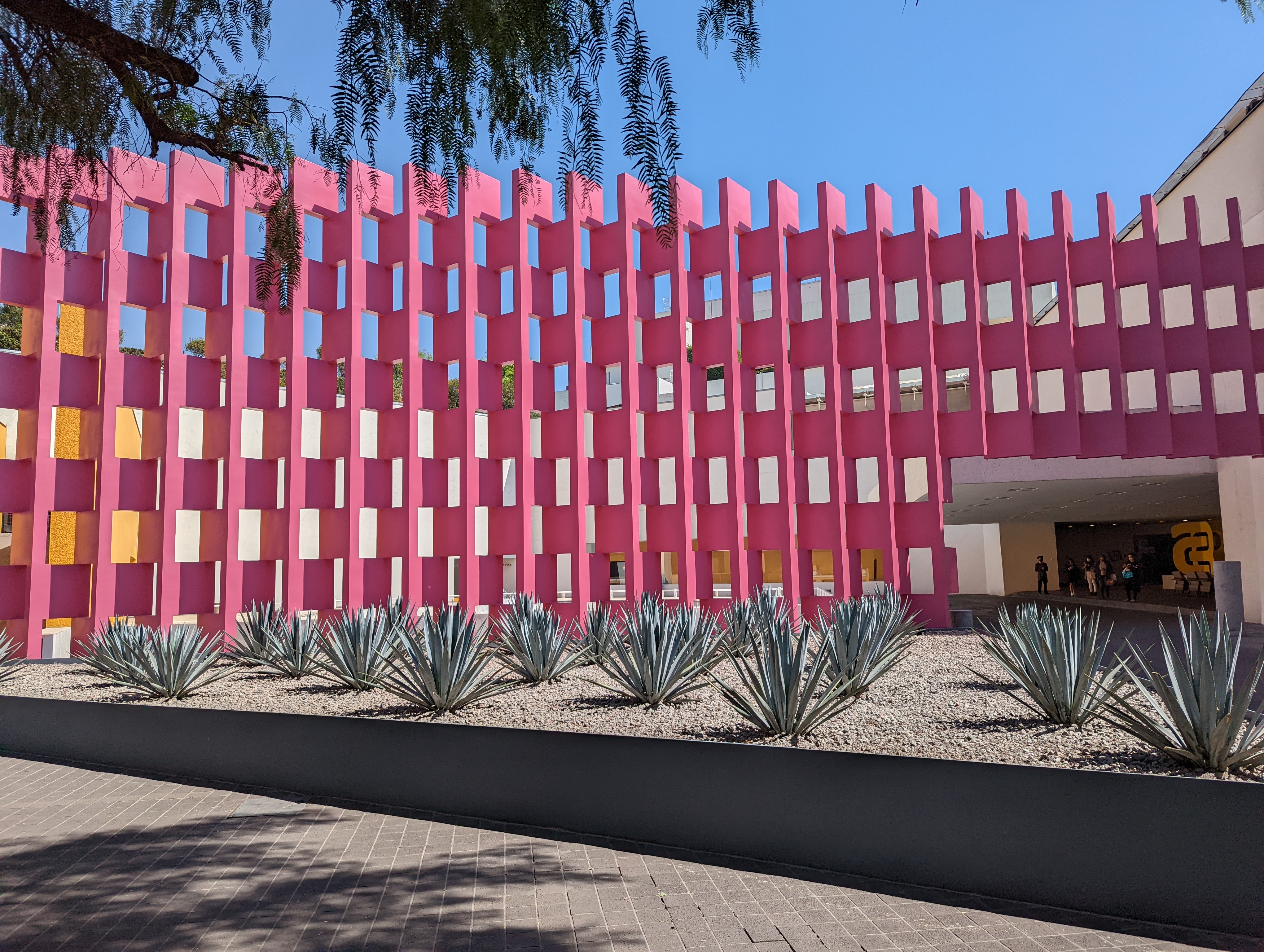 México, México y México: Febrero 24, 2022