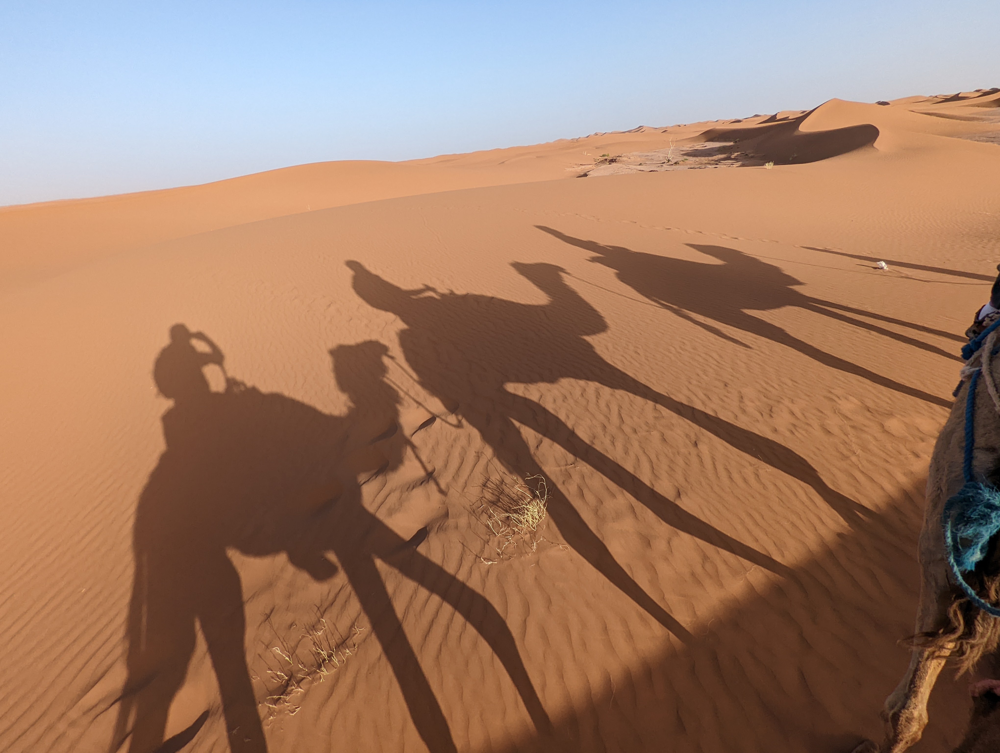 Day 10: Saturday, April 9, 2022 – Somewhere in the Sahara