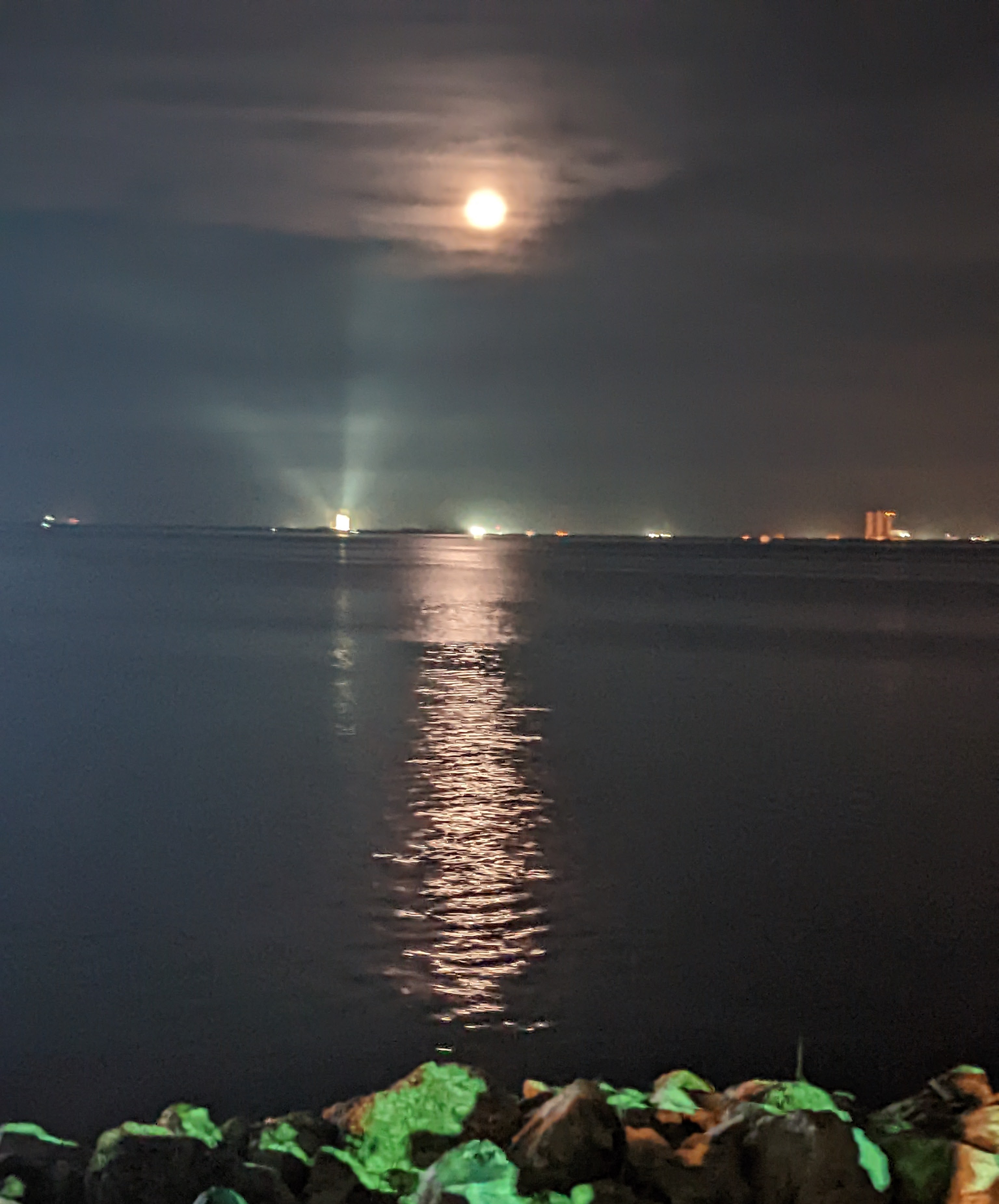 Day 3: November 15, 2022 – Go or No Go: That is the Question