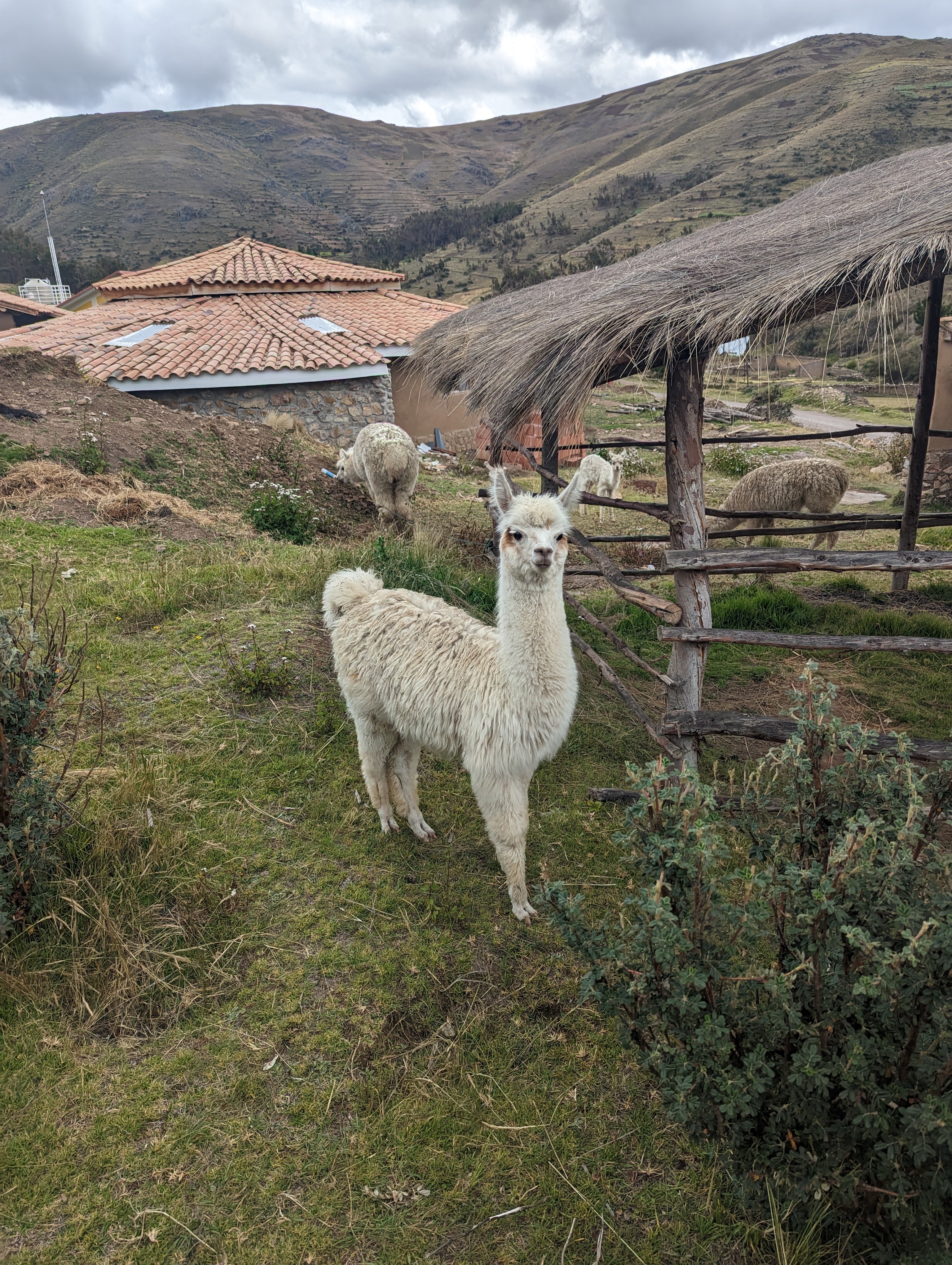 Saturday May 27, 2023: The New Groove