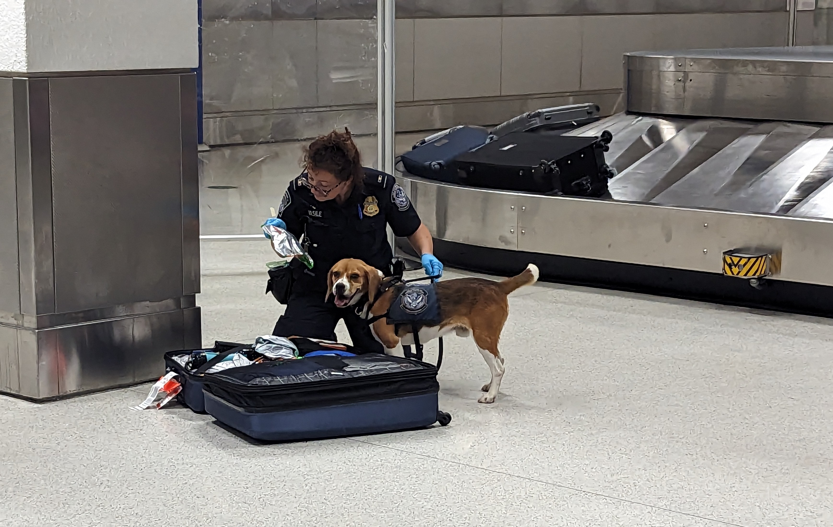 Sunday, June 4, 2023: Final Thoughts