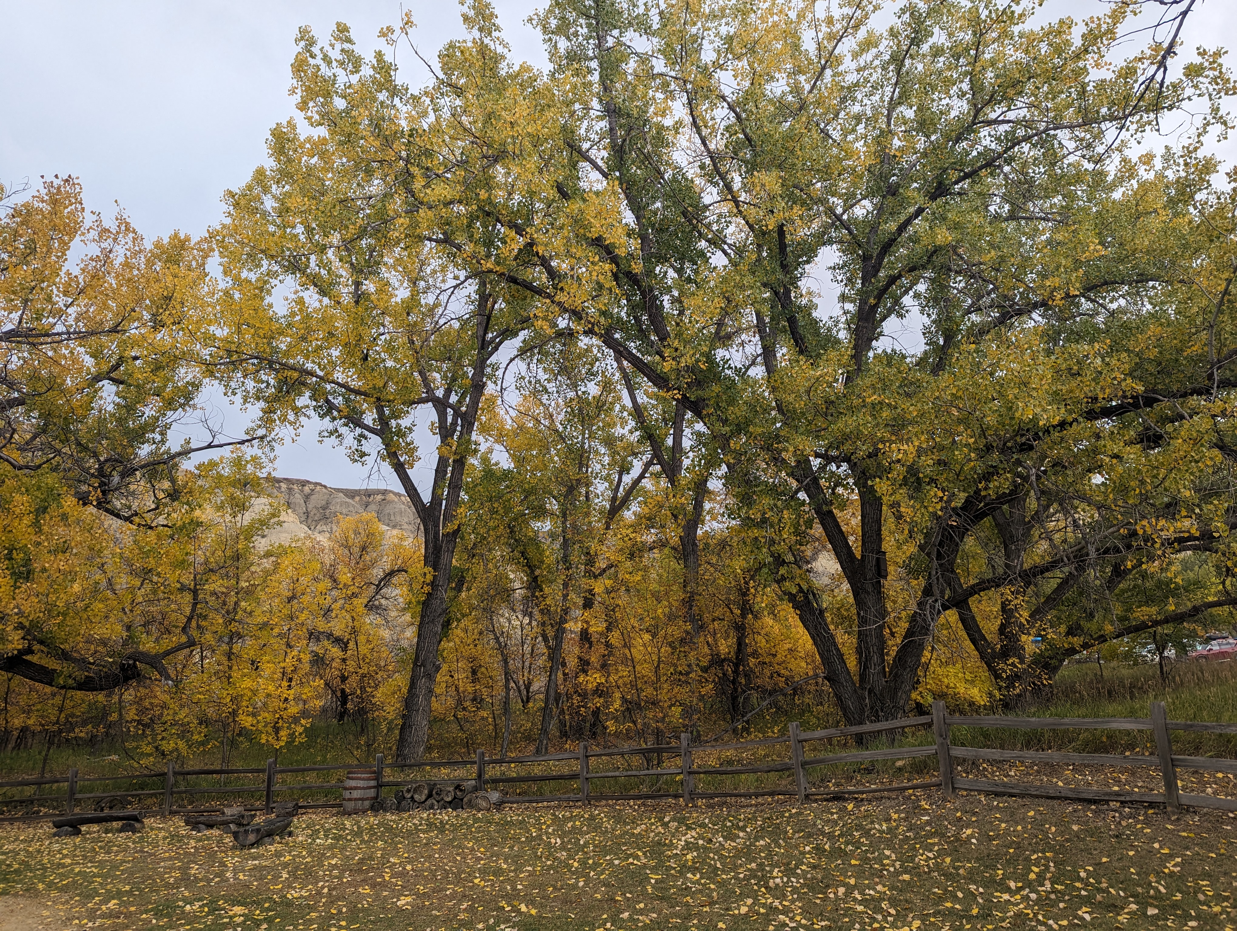 September 21, 2023: Good Grief