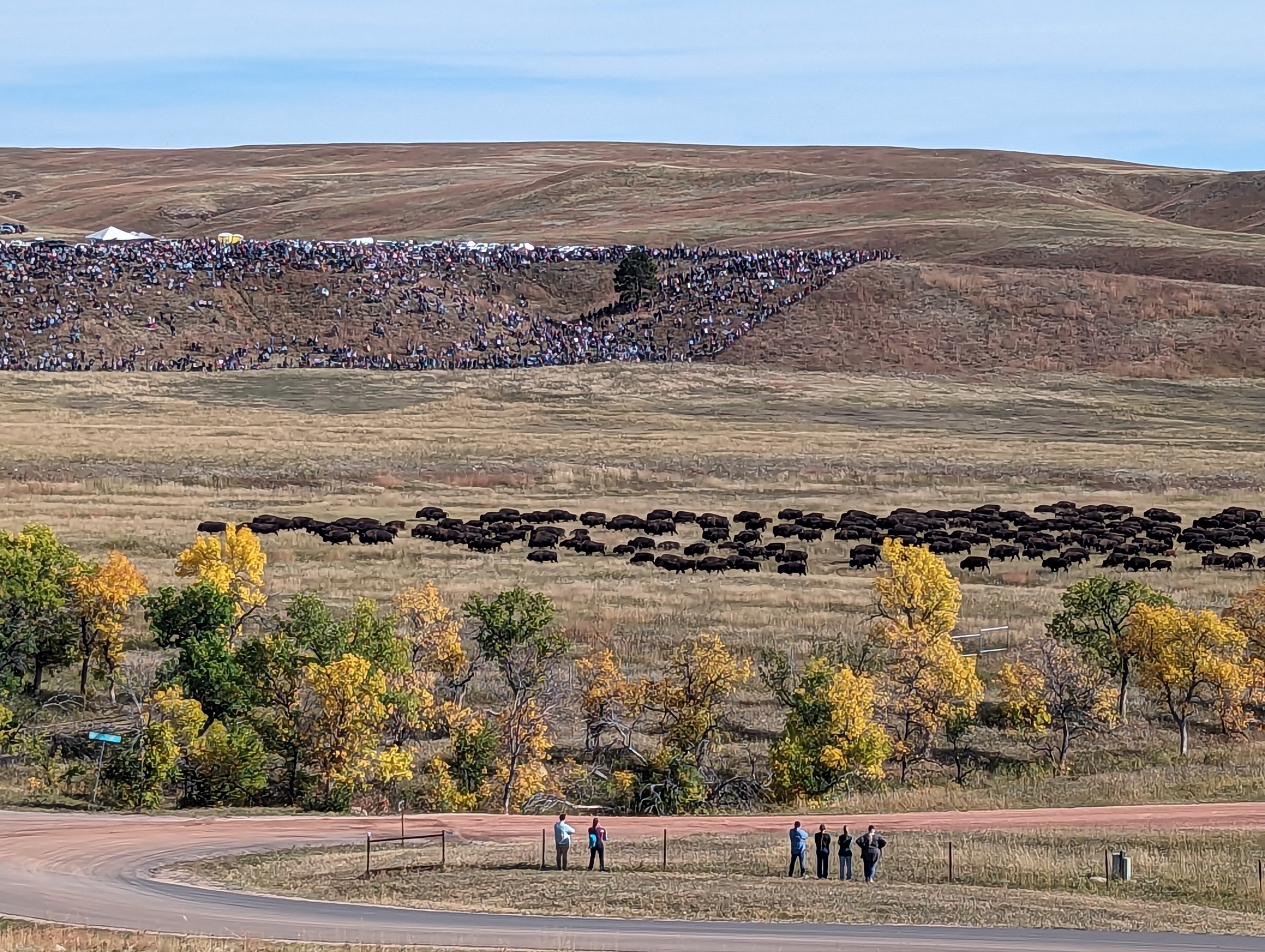 September 29, 2023: The Roundup – Crazy!!