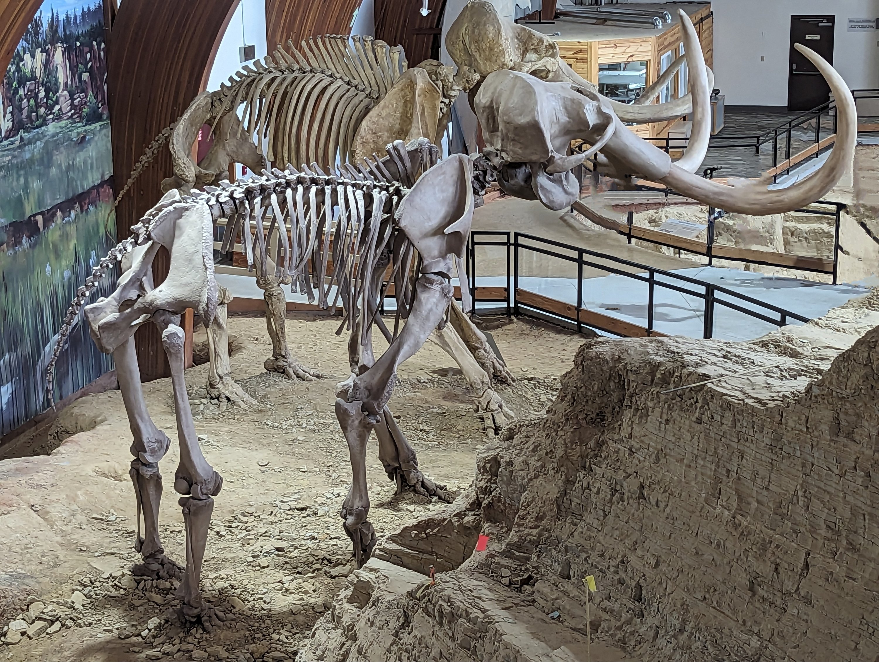 September 30, 2023 – Woolly Bully