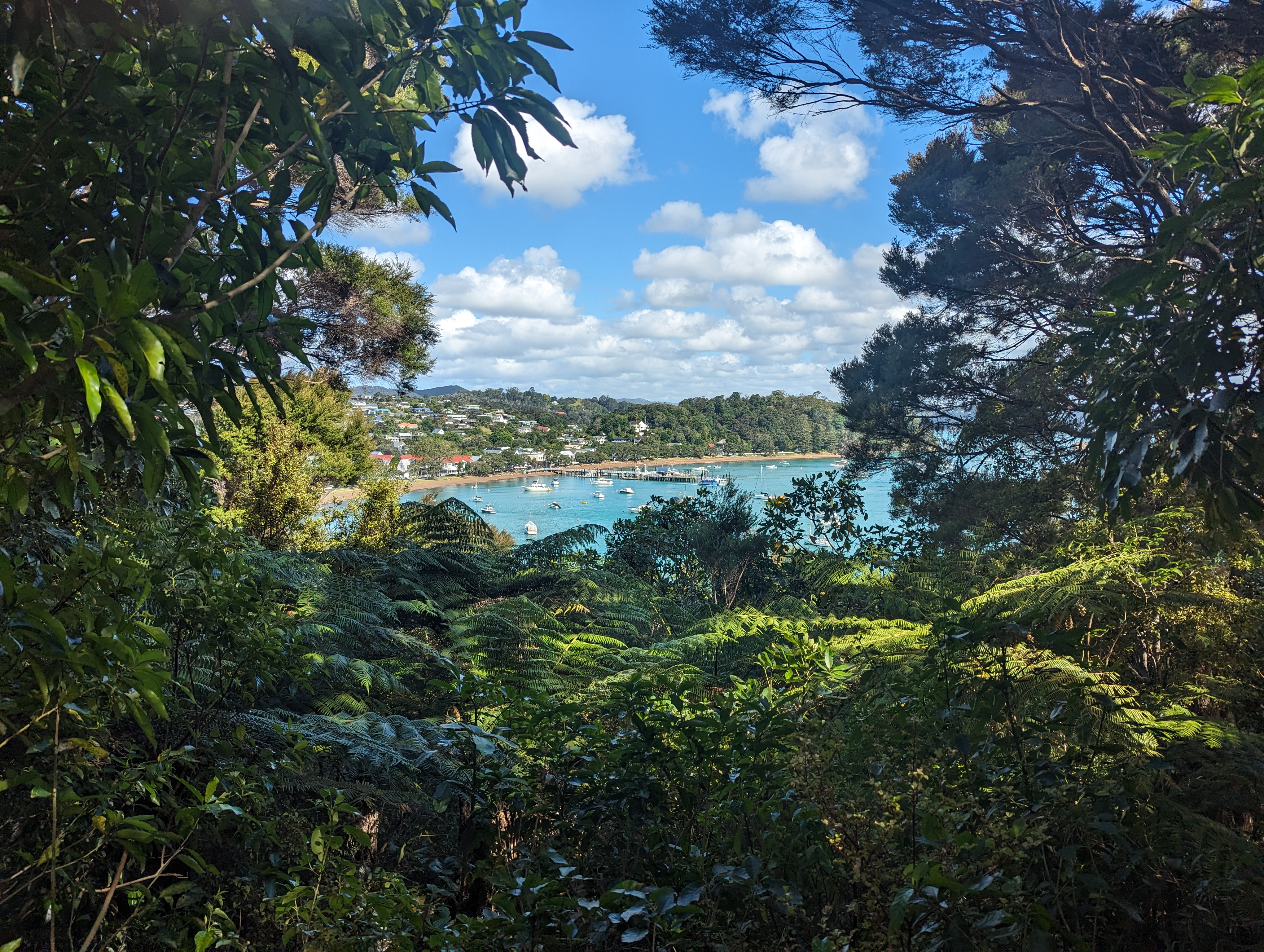 Thursday, January 11, 2024: Day 339 – Bay of Islands: Birthplace of New Zealand