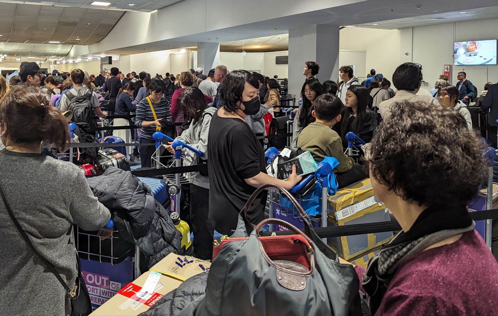 Saturday, January 6, 2024: Day 334 – Auckland