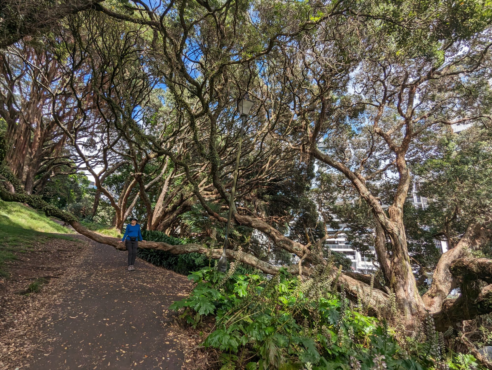 Tuesday, January 9, 2024: Day 337 – Living in the Future and Watching the Past