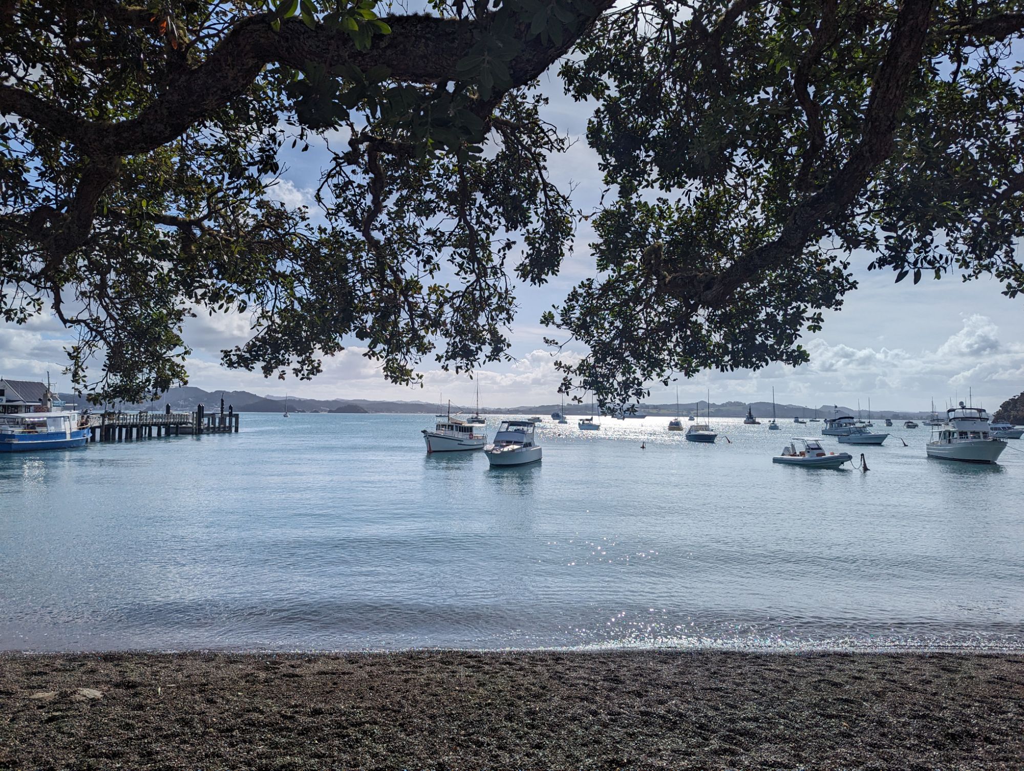 Wednesday, January 10, 2024: Day 338 – Bay of Islands