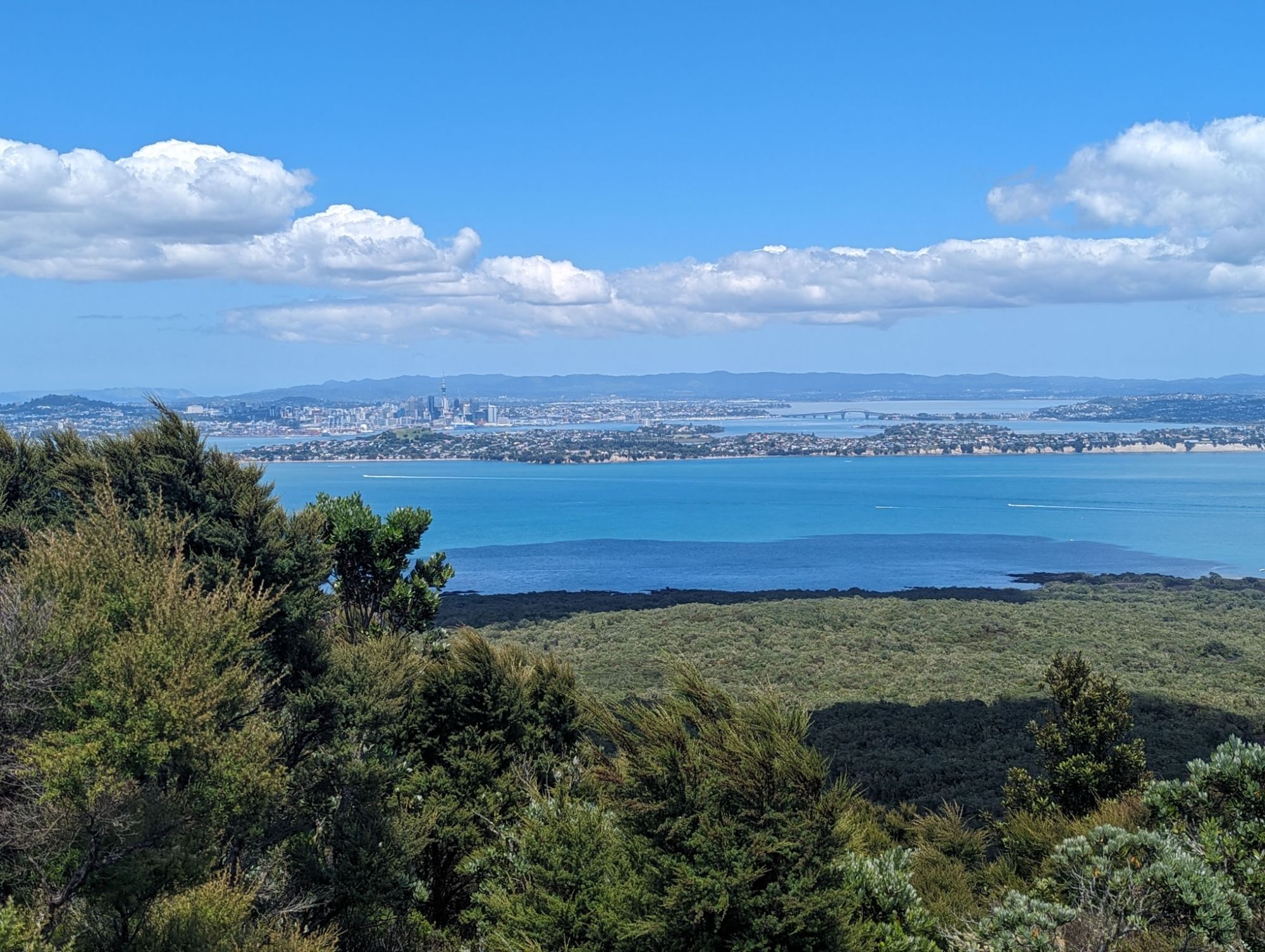 Saturday, January 13, 2024: Day 341 – Hiking on a (Dormant) Volcano