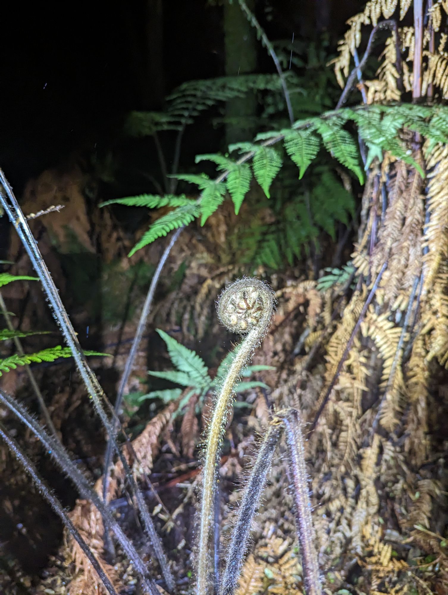 Monday, January 15, 2024: Day 343 – Ocean Global Race