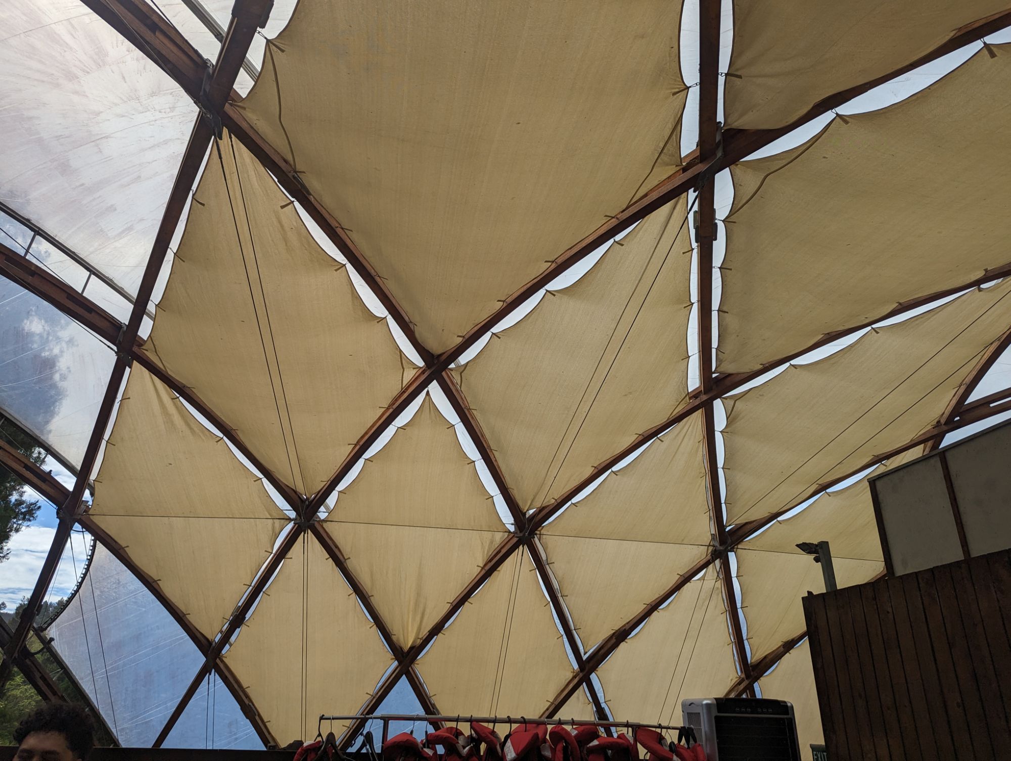 Thursday, January 18, 2024: Day 346 – Glow Little Glowworm