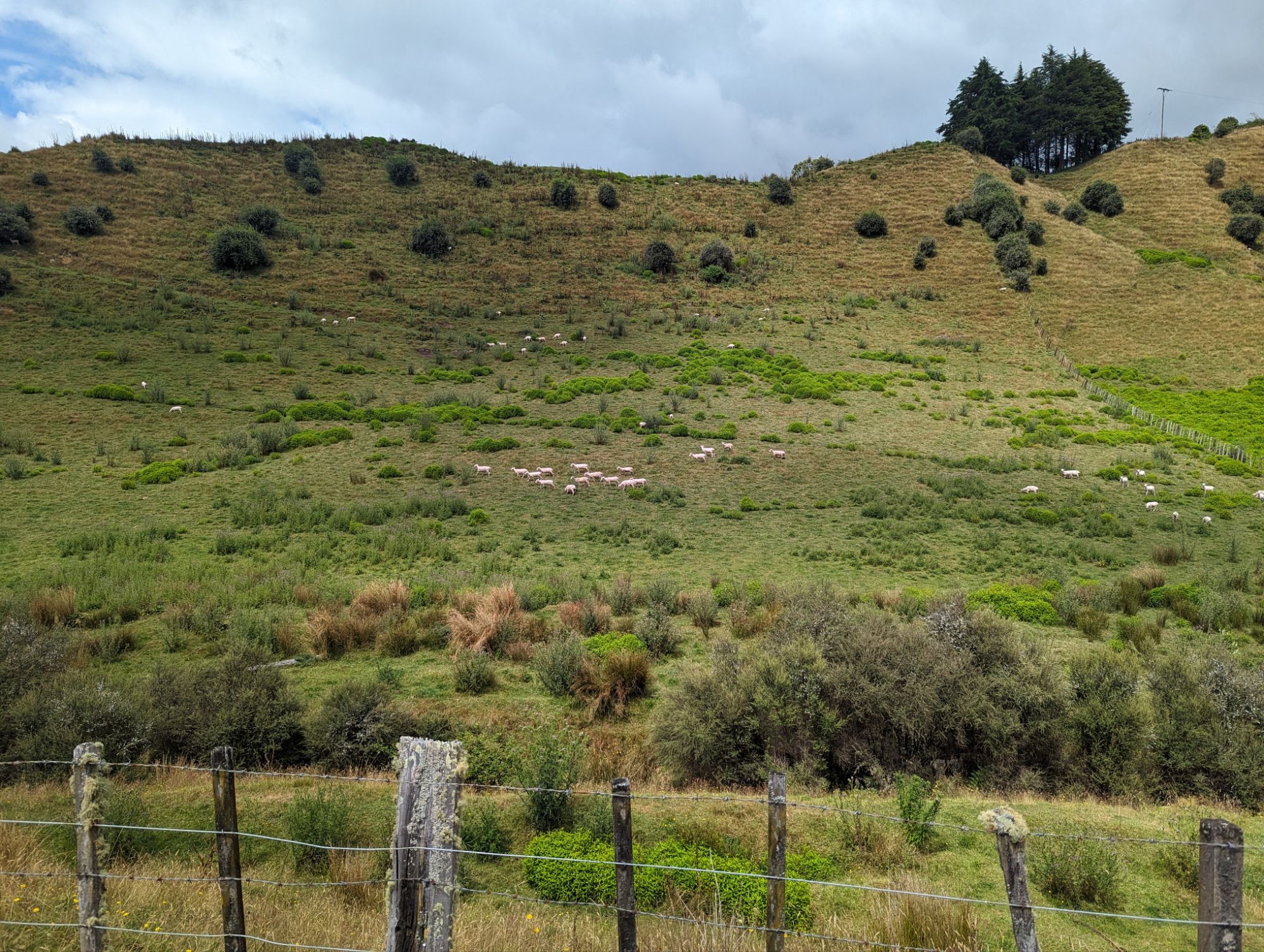 Saturday, January 20, 2024: Day 348 – Forgotton