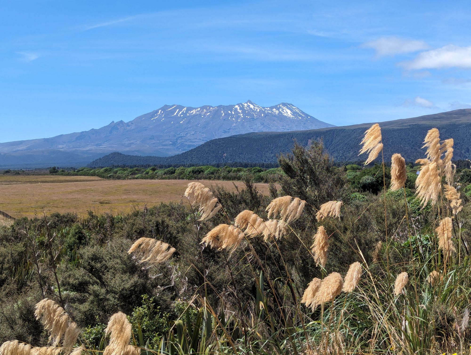 Wednesday, January 24, 2024: Day 352 – I Can See Clearly Now