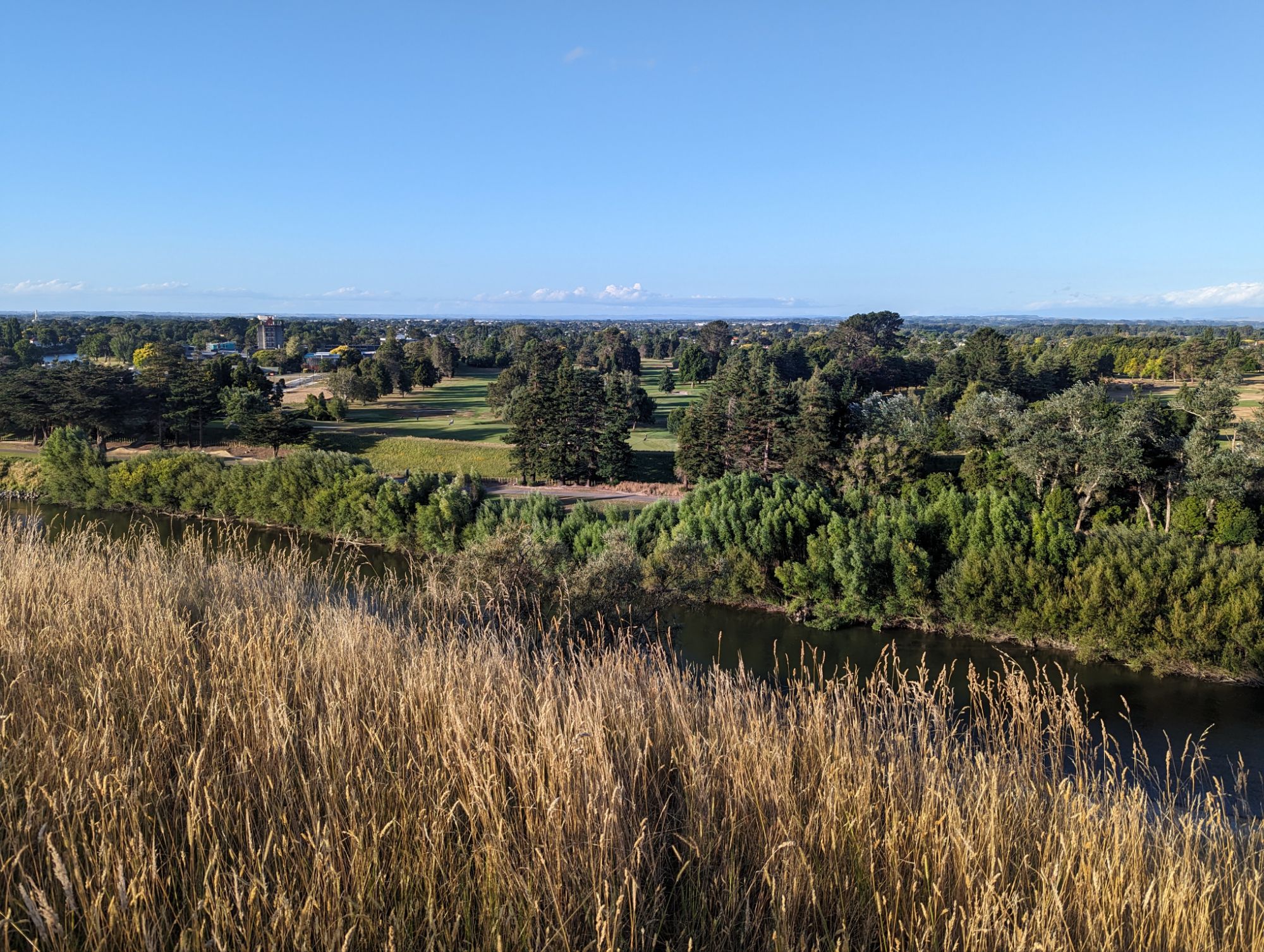 Thursday, January 25, 2024: Day 353 – Hokey Pokey Palmerston North