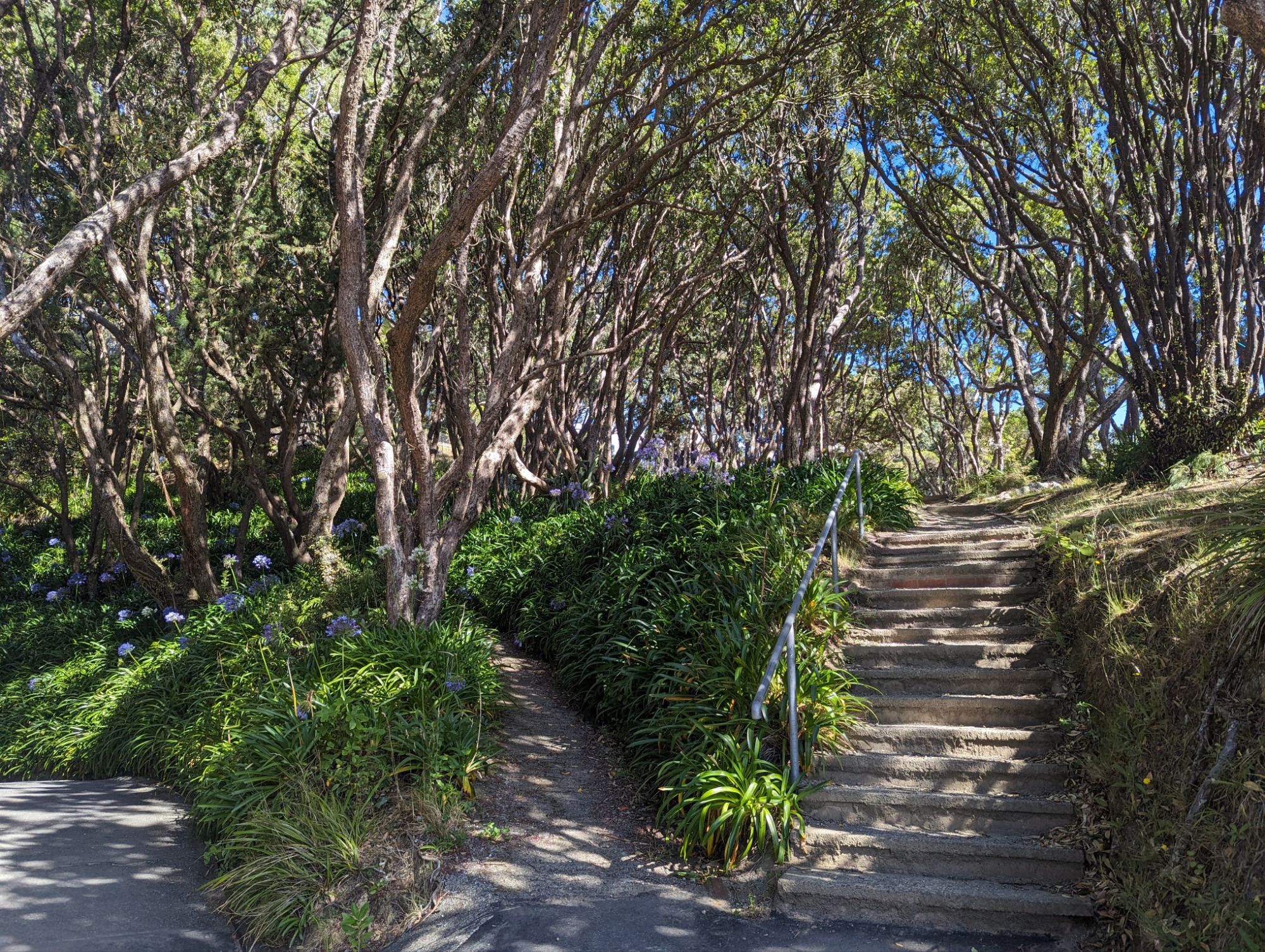 Friday, January 26, 2024: Day 354