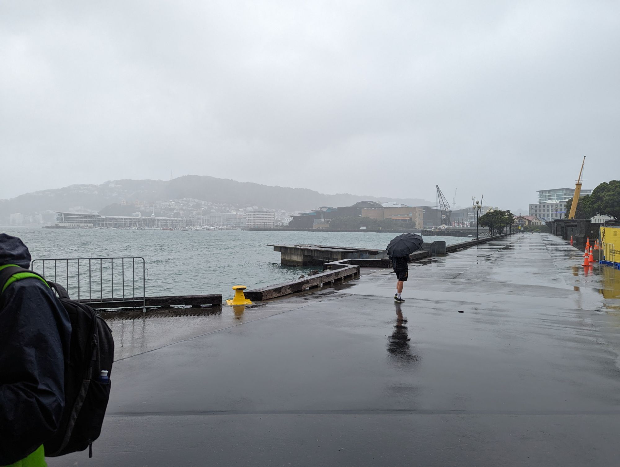 Saturday, January 27, 2024: Day 355 – Windy, Rainy, Welly