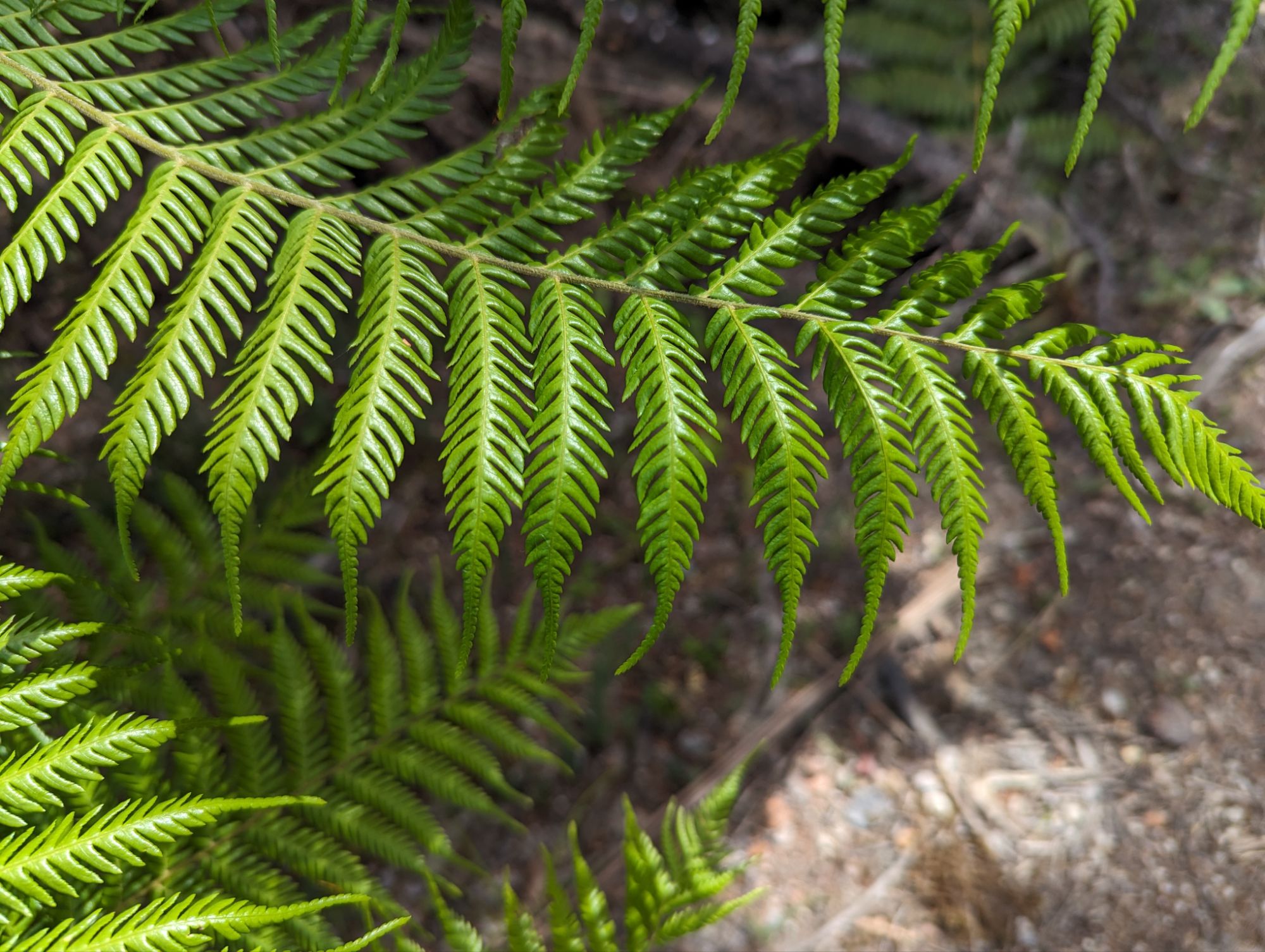 Wednesday, January 31, 2024: Day 359 – Give It a Go