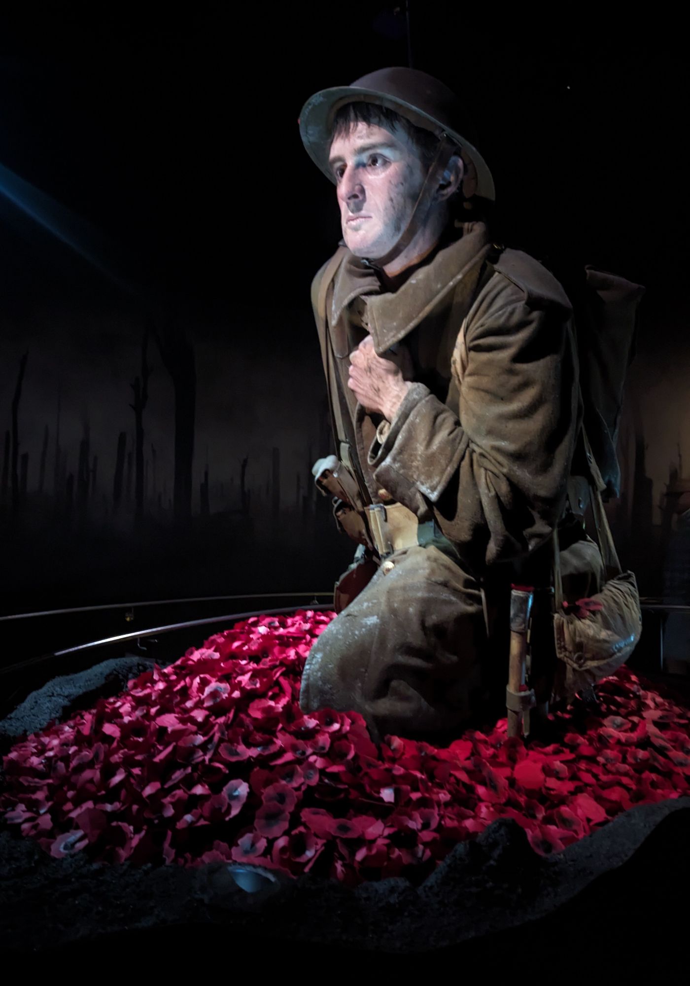 Tuesday, January 30, 2024: Day 358 – Te Papa