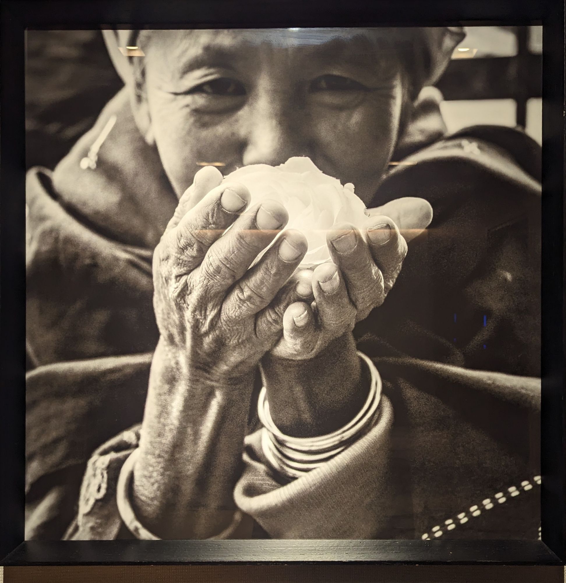 Thursday, February 1, 2024: Day 360 – White Roses in CHCH