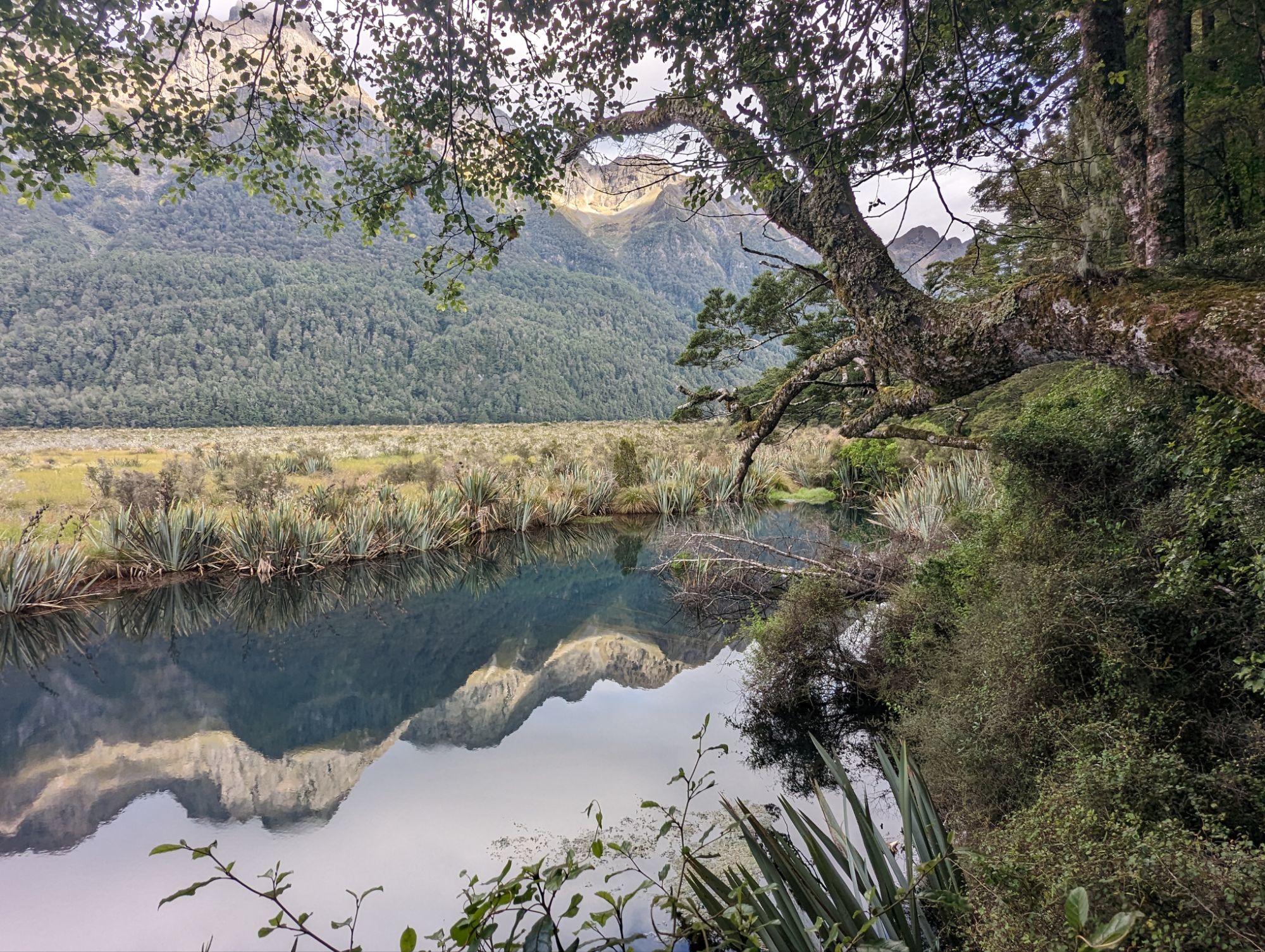 Tuesday, February 13, 2024: Day 372 – Milford Sound