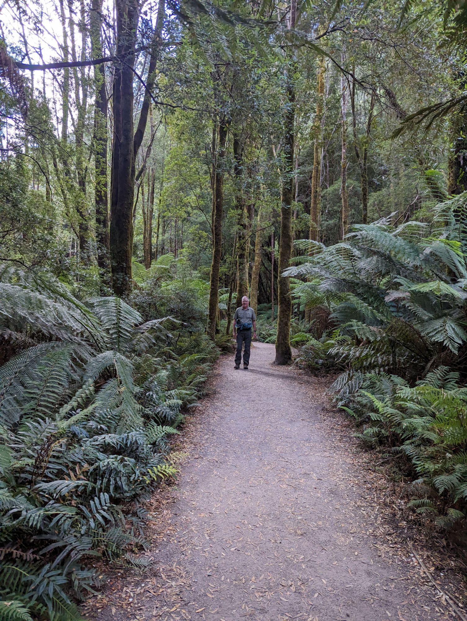 Tuesday, February 20, 2024: Day 379 – Under Down Under