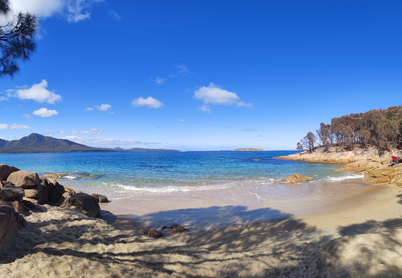 Saturday, February 24: Day 383 – Another Hike!!