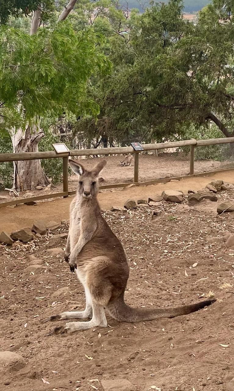 Monday, February 26, 2024: Day 385 – A Long Day