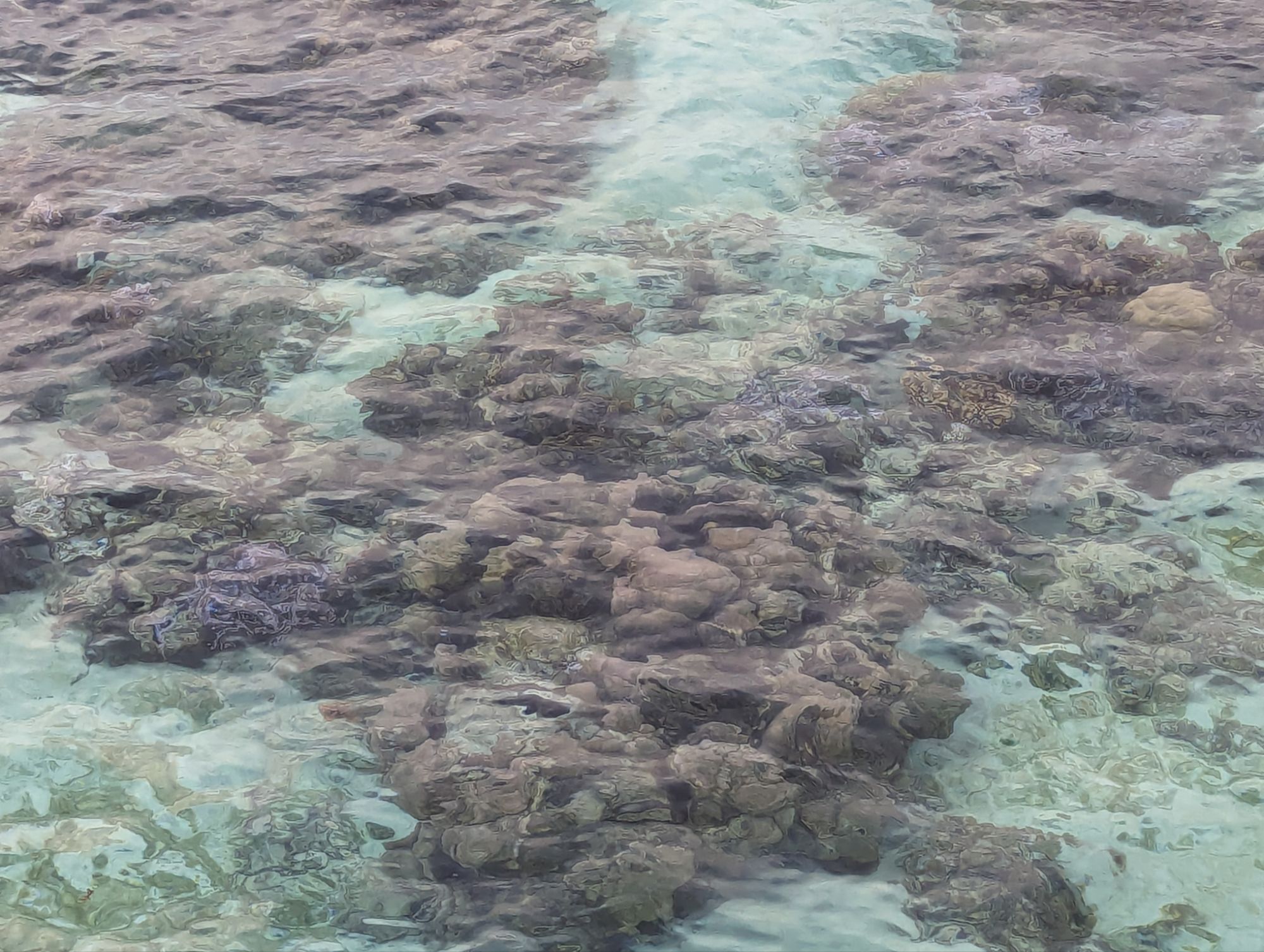 Friday, March 1, 2024: Day 389 – Motu