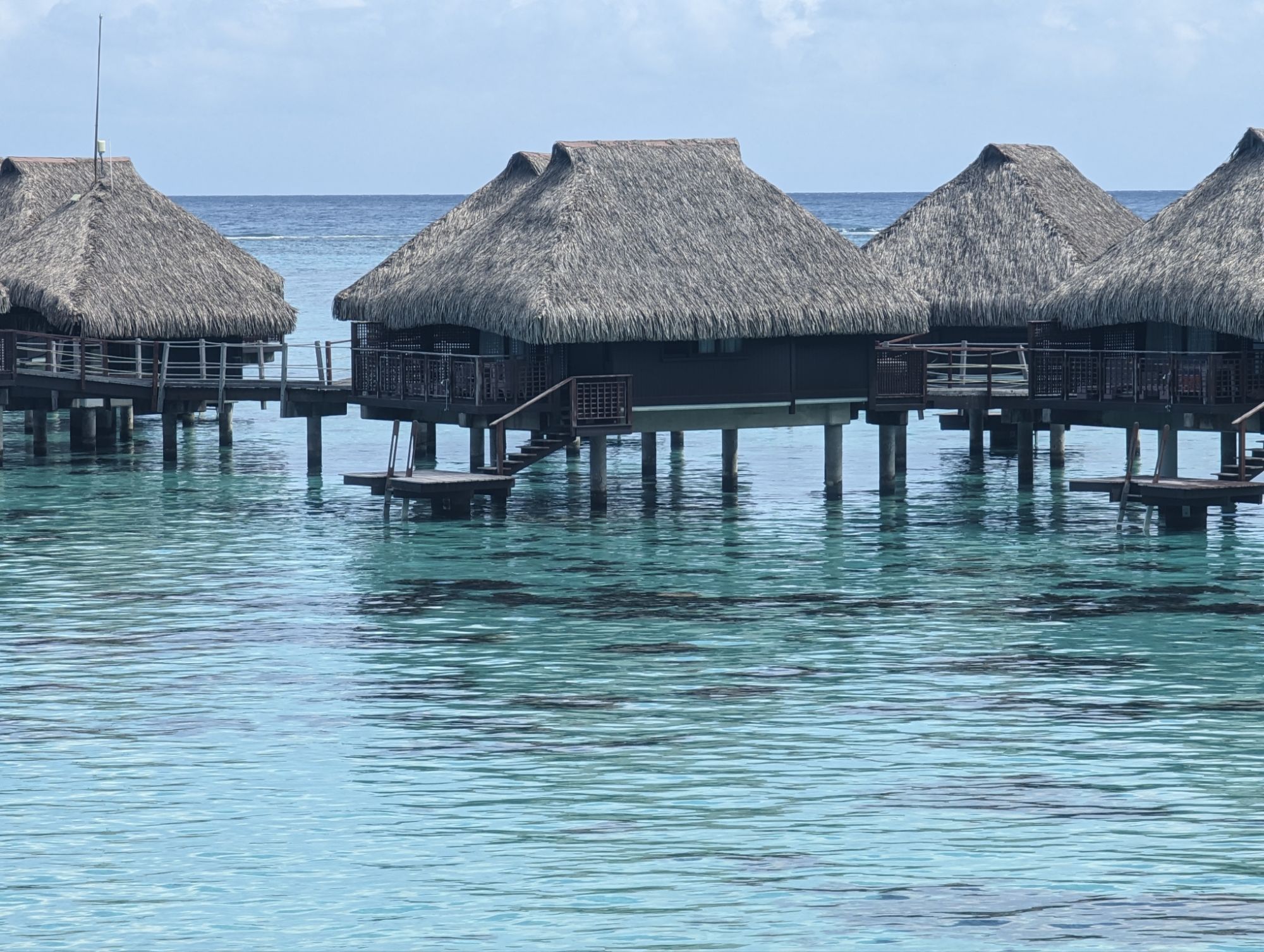 Saturday, March 2, 2024: Day 390 –