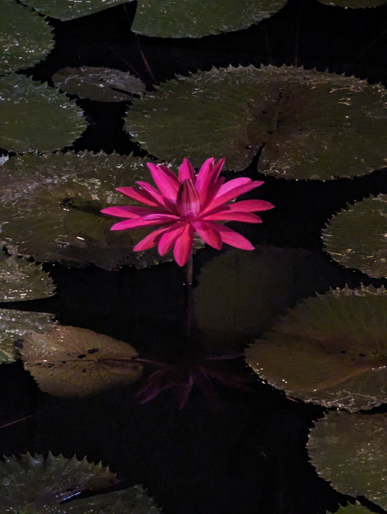 Monday, March 4, 2024: Day 392 – The Last Resort