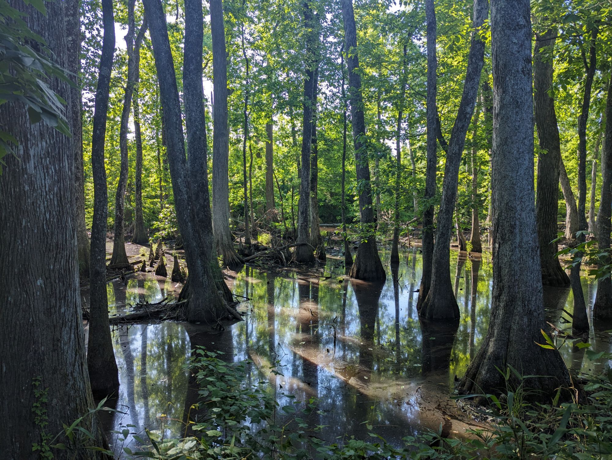 May 11, 2024: The Devil’s Backbone