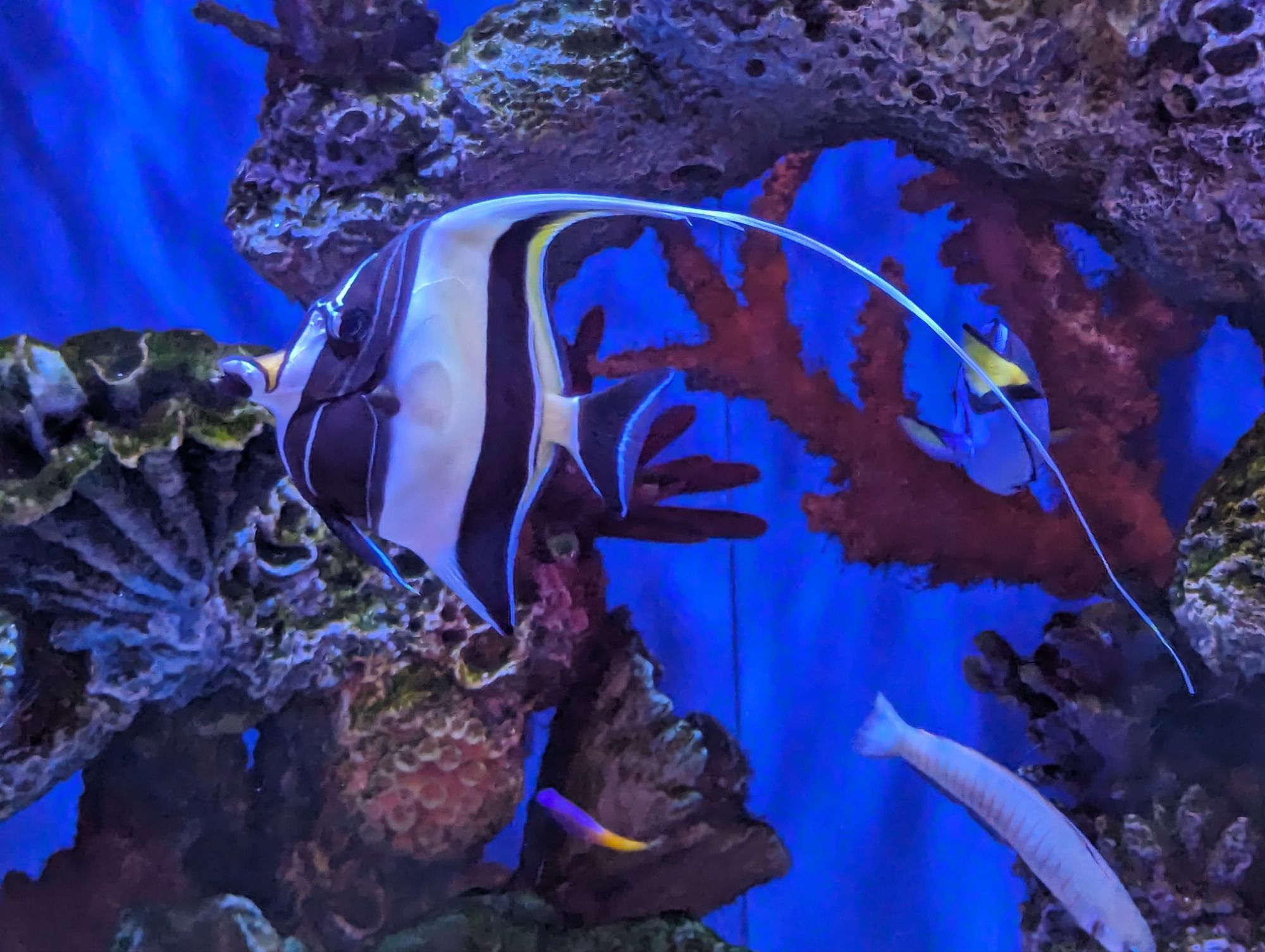 May 14, 2024: Without a Trace