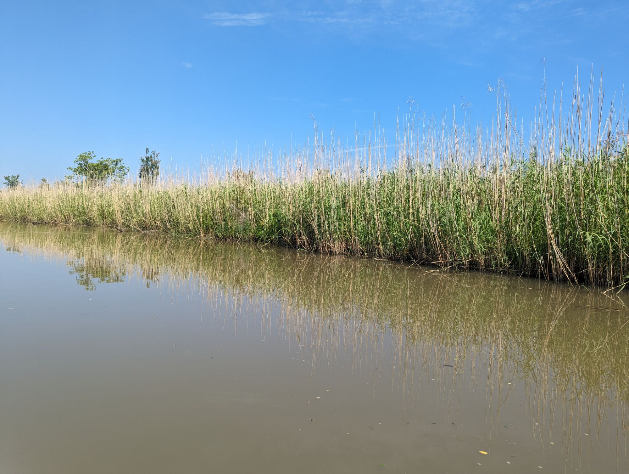 May 16, 2024: America’s Amazon